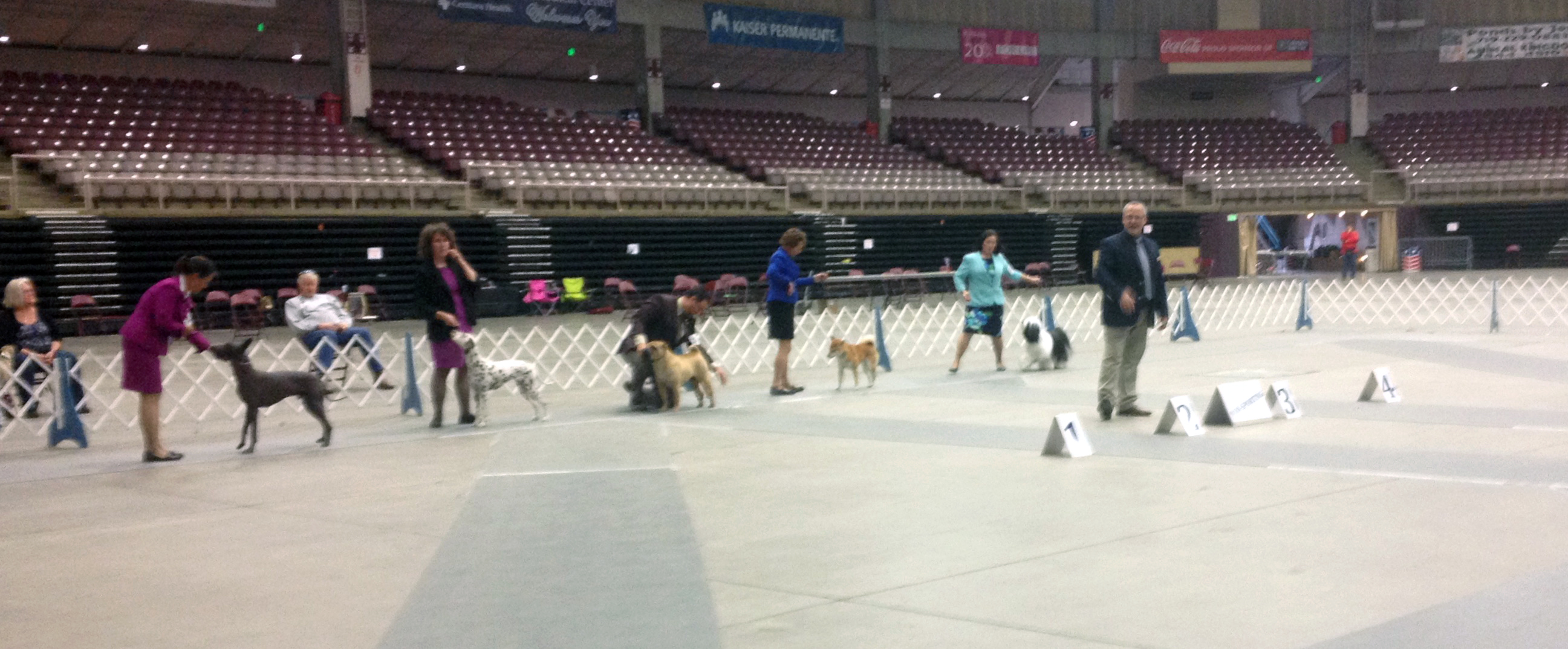 2017 Annual Show