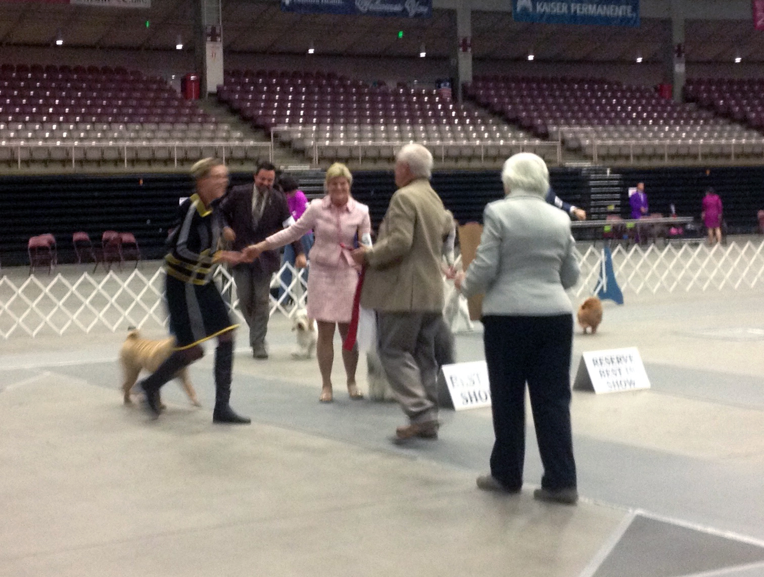 2017 Annual Show