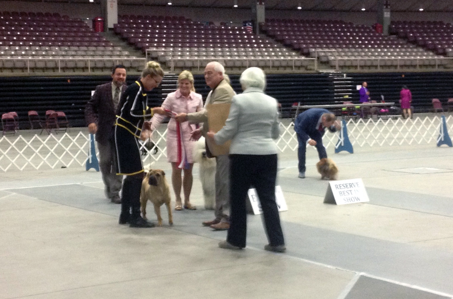 2017 Annual Show
