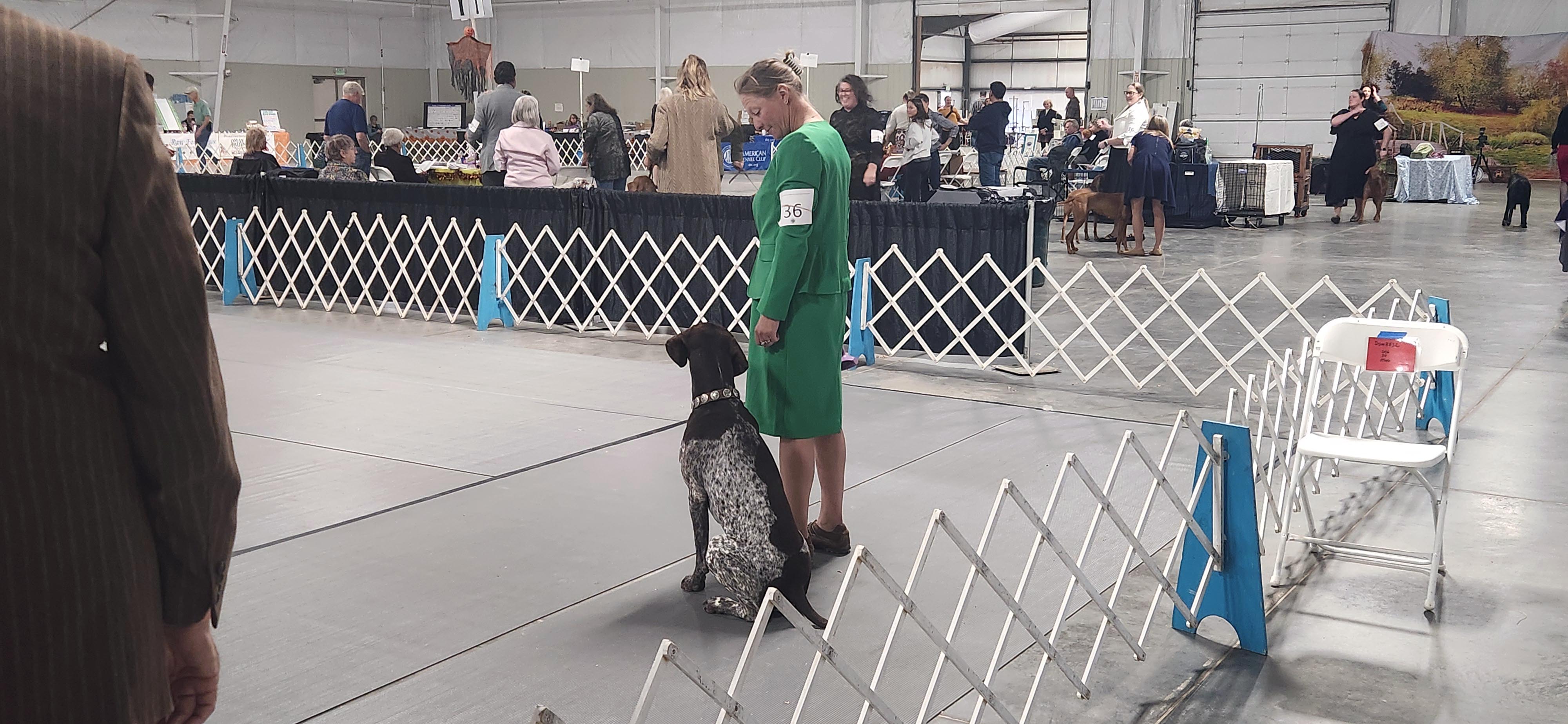2025 Annual Show