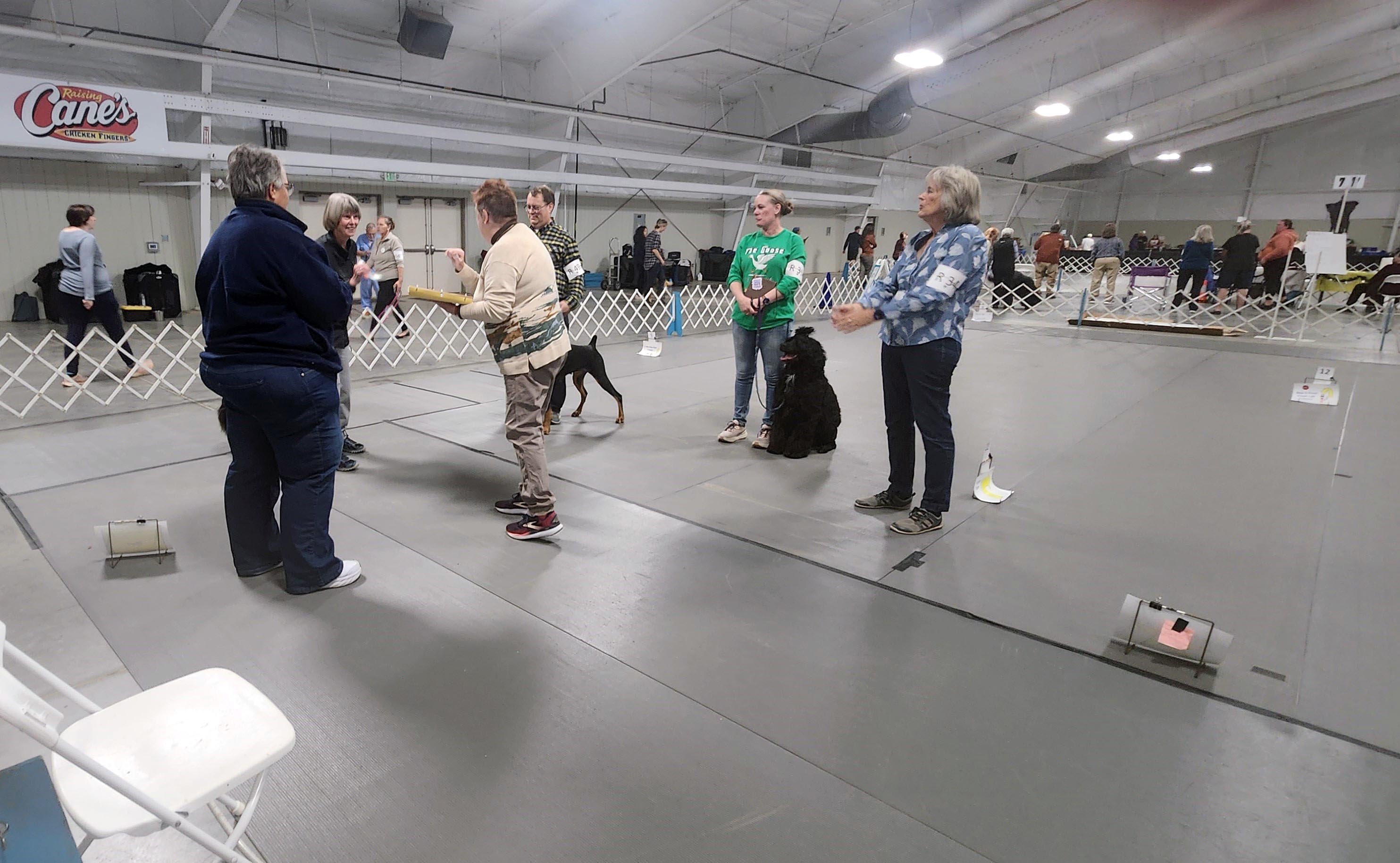 2025 Annual Show