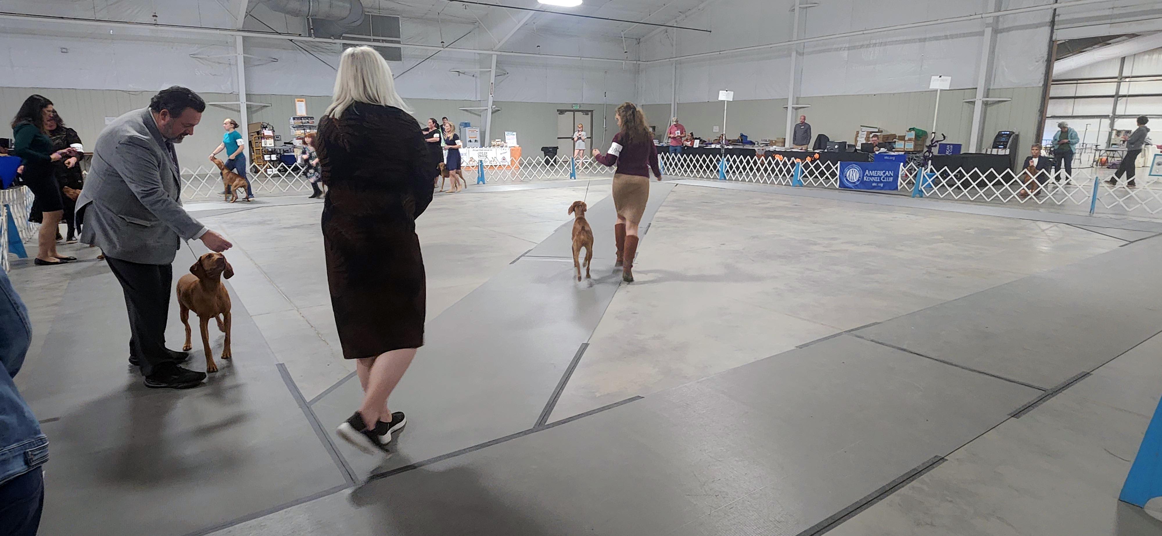 2025 Annual Show