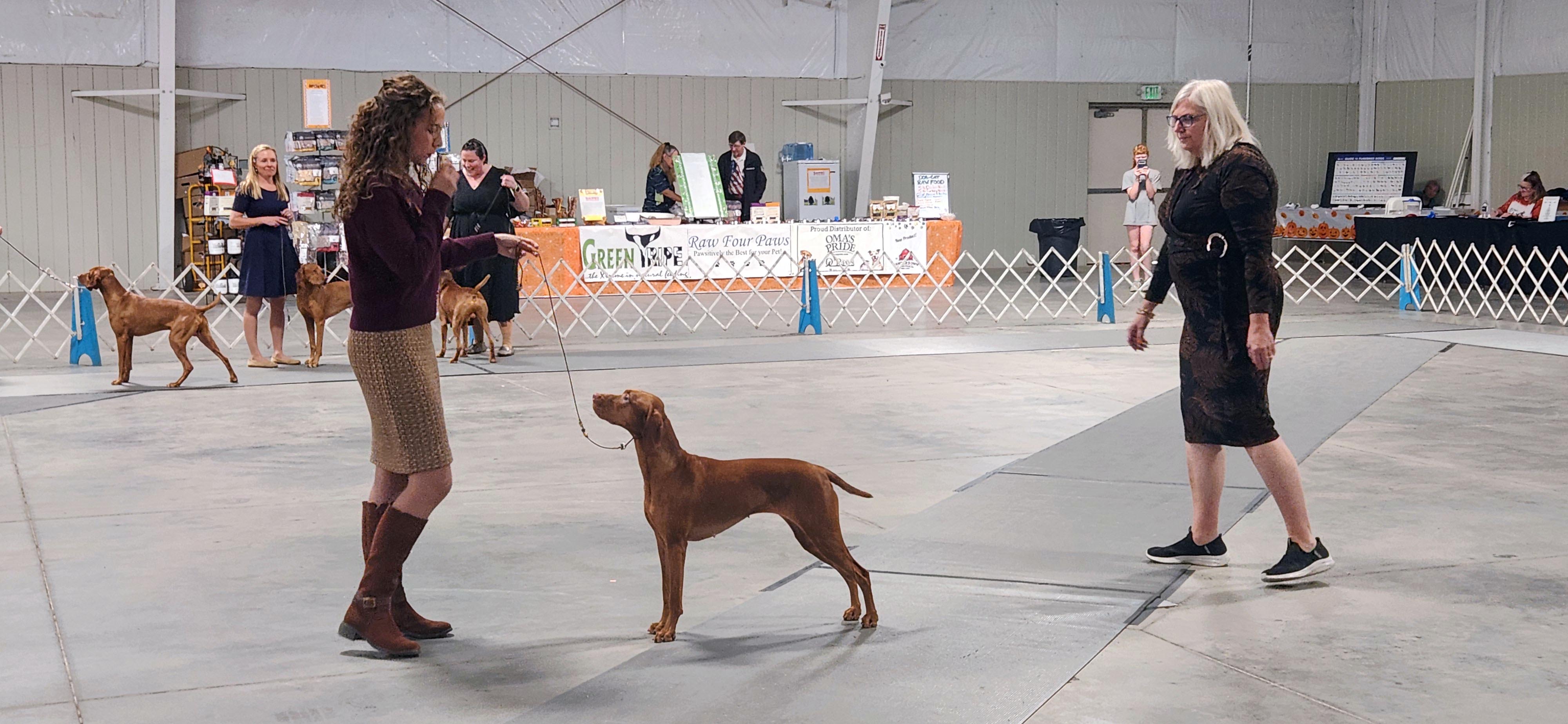 2025 Annual Show