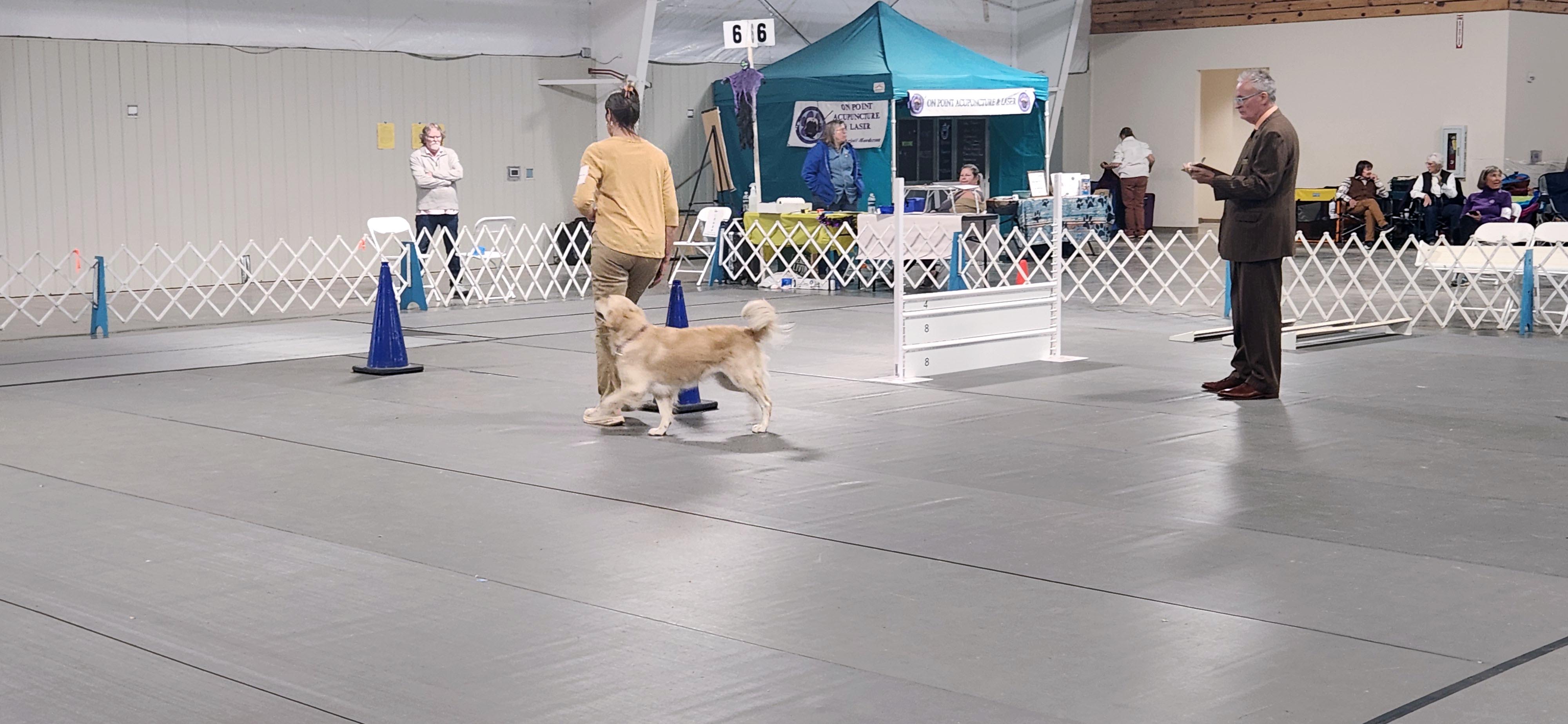 2025 Annual Show