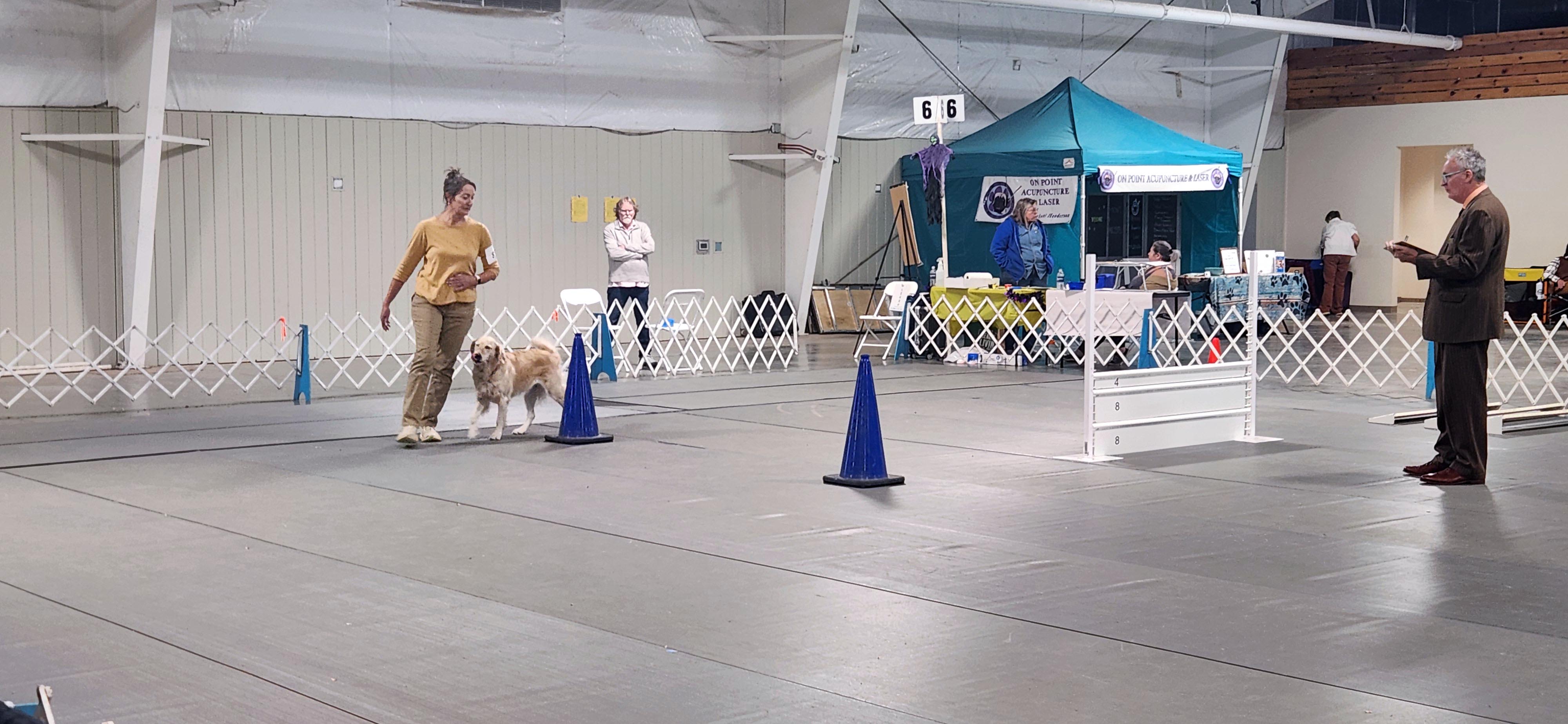 2025 Annual Show
