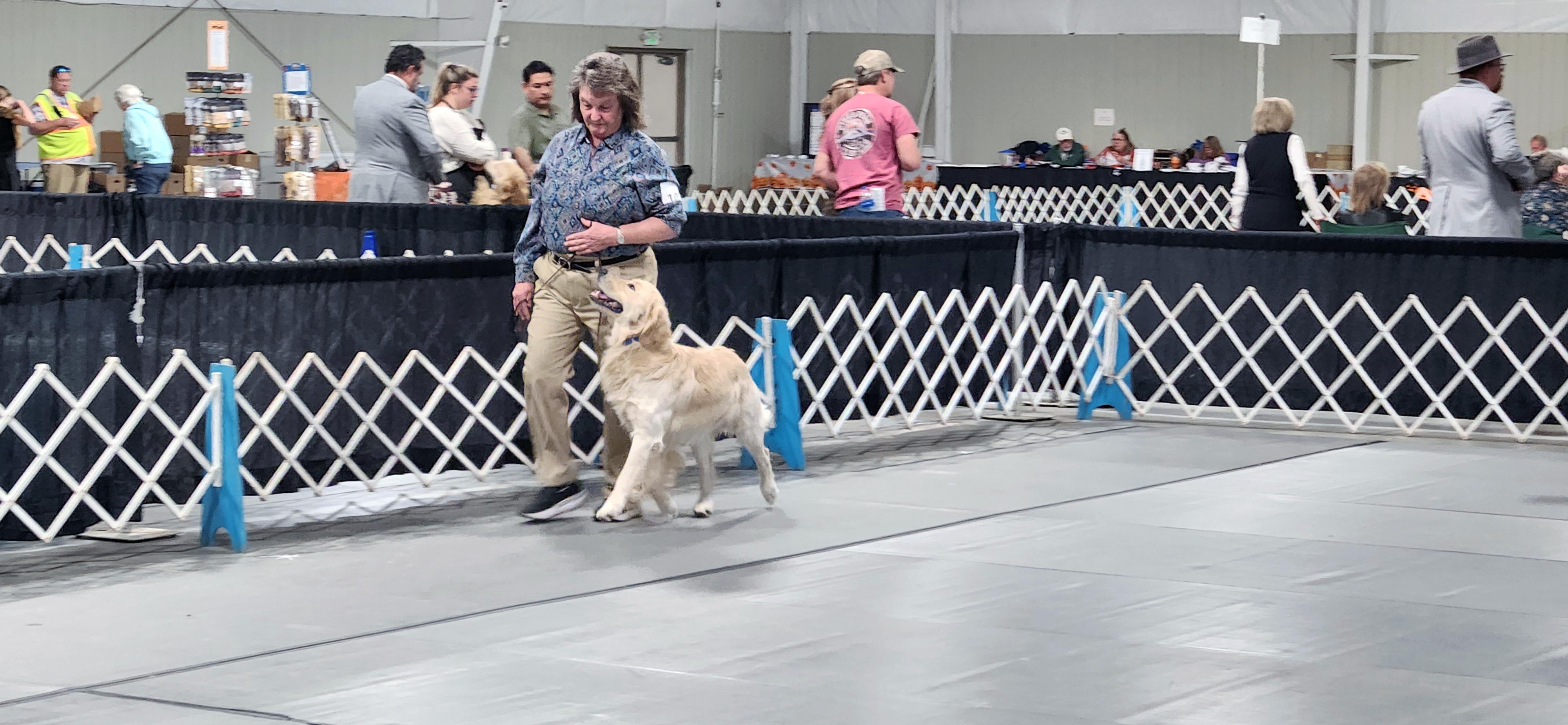 2025 Annual Show