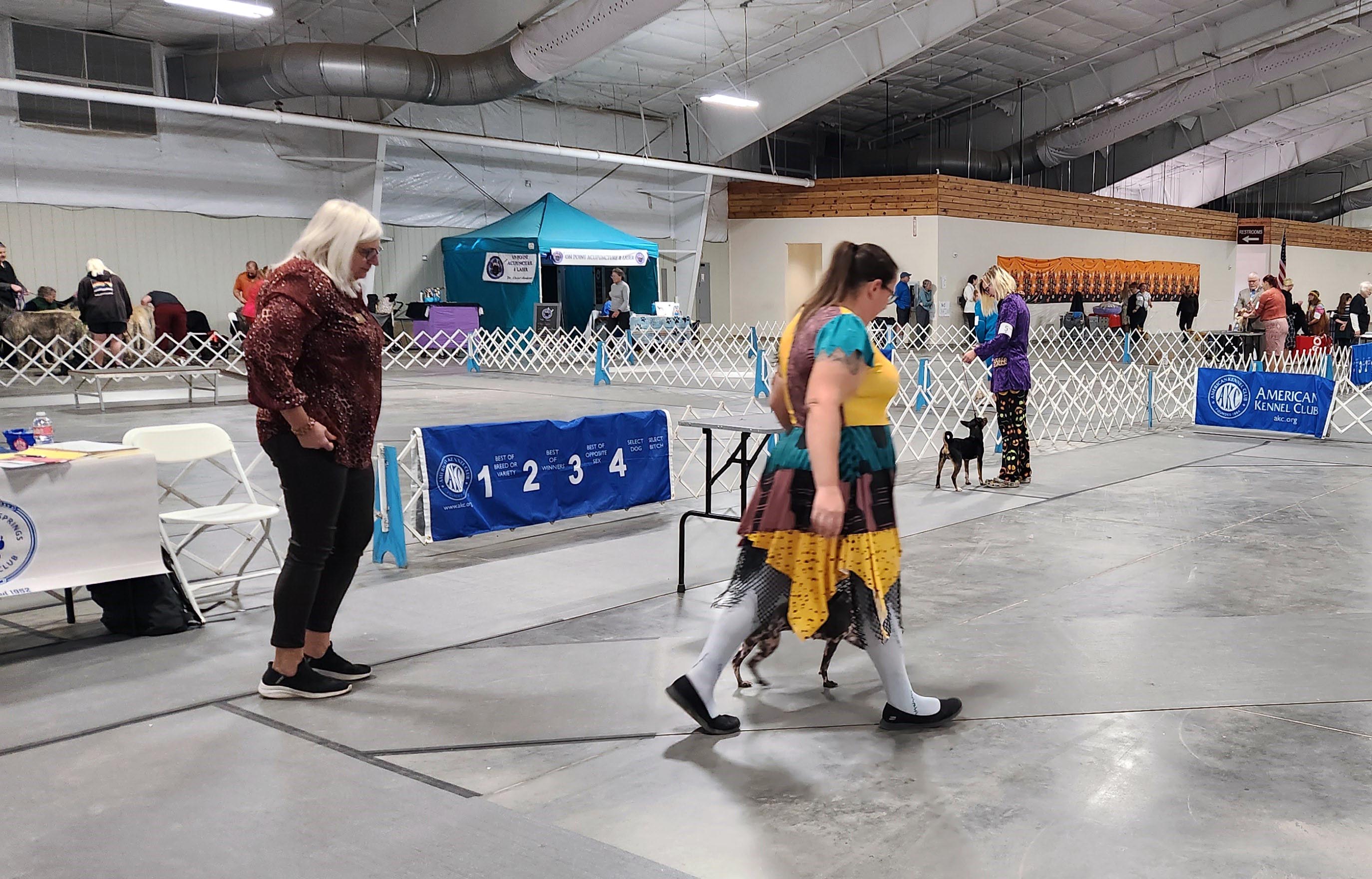 2025 Annual Show