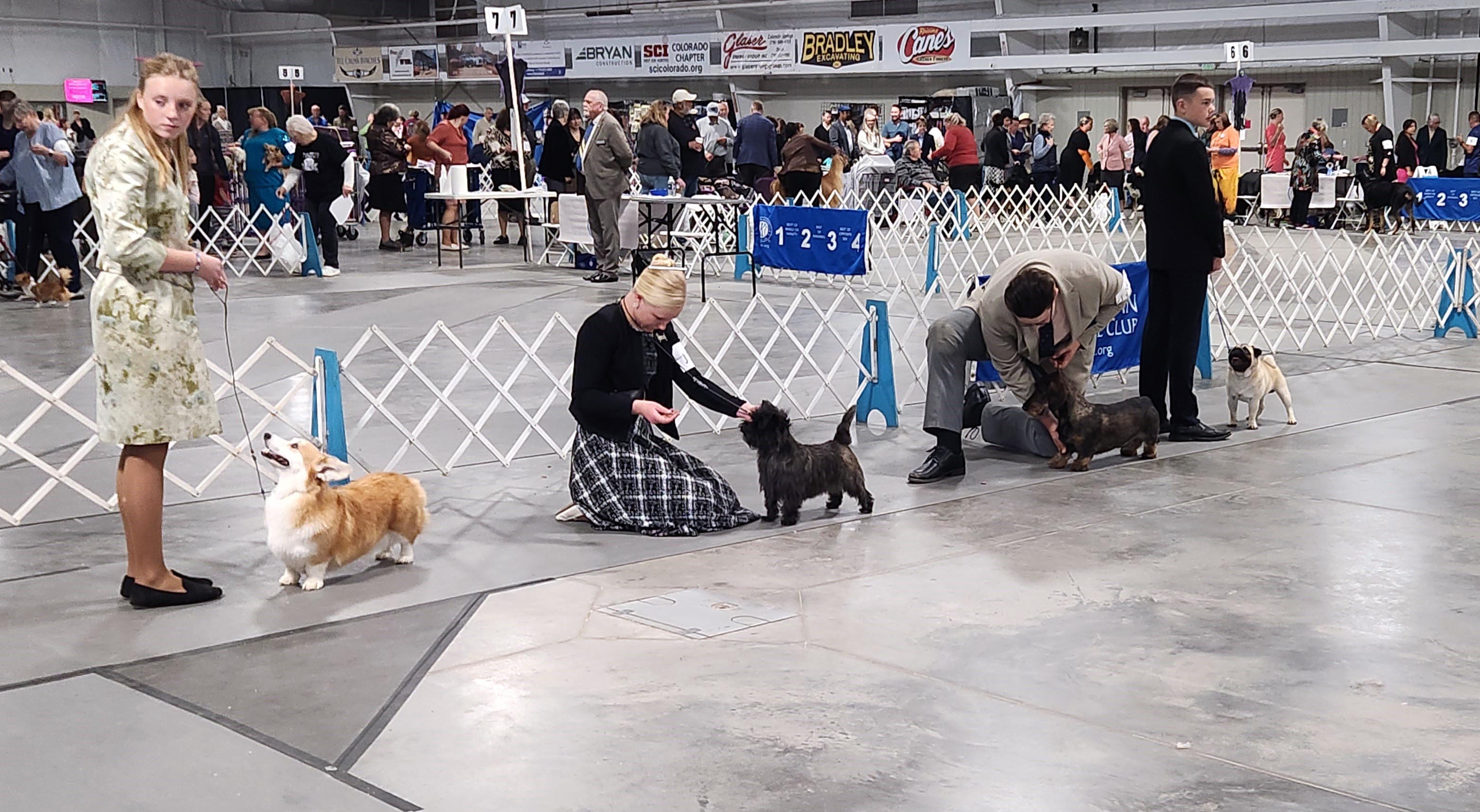 2025 Annual Show