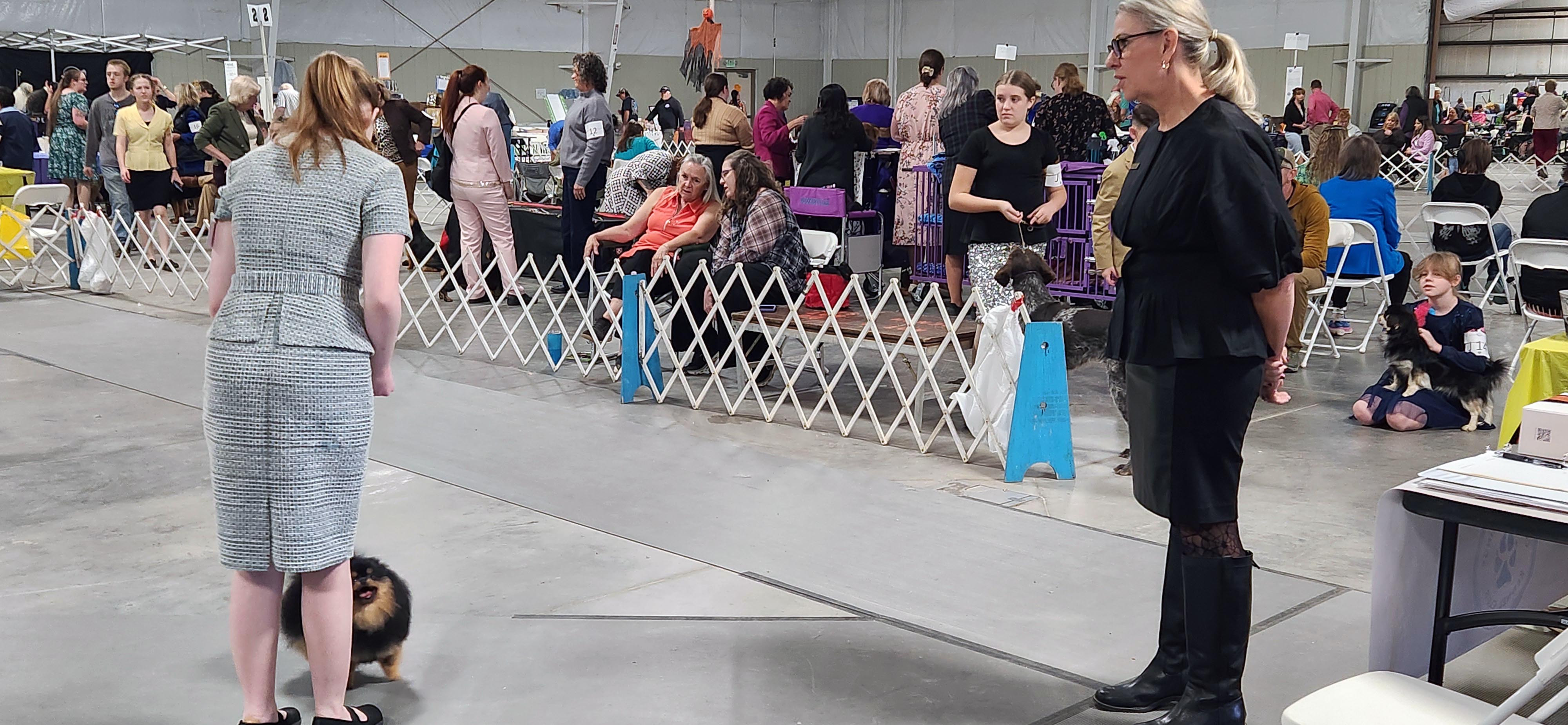 2025 Annual Show