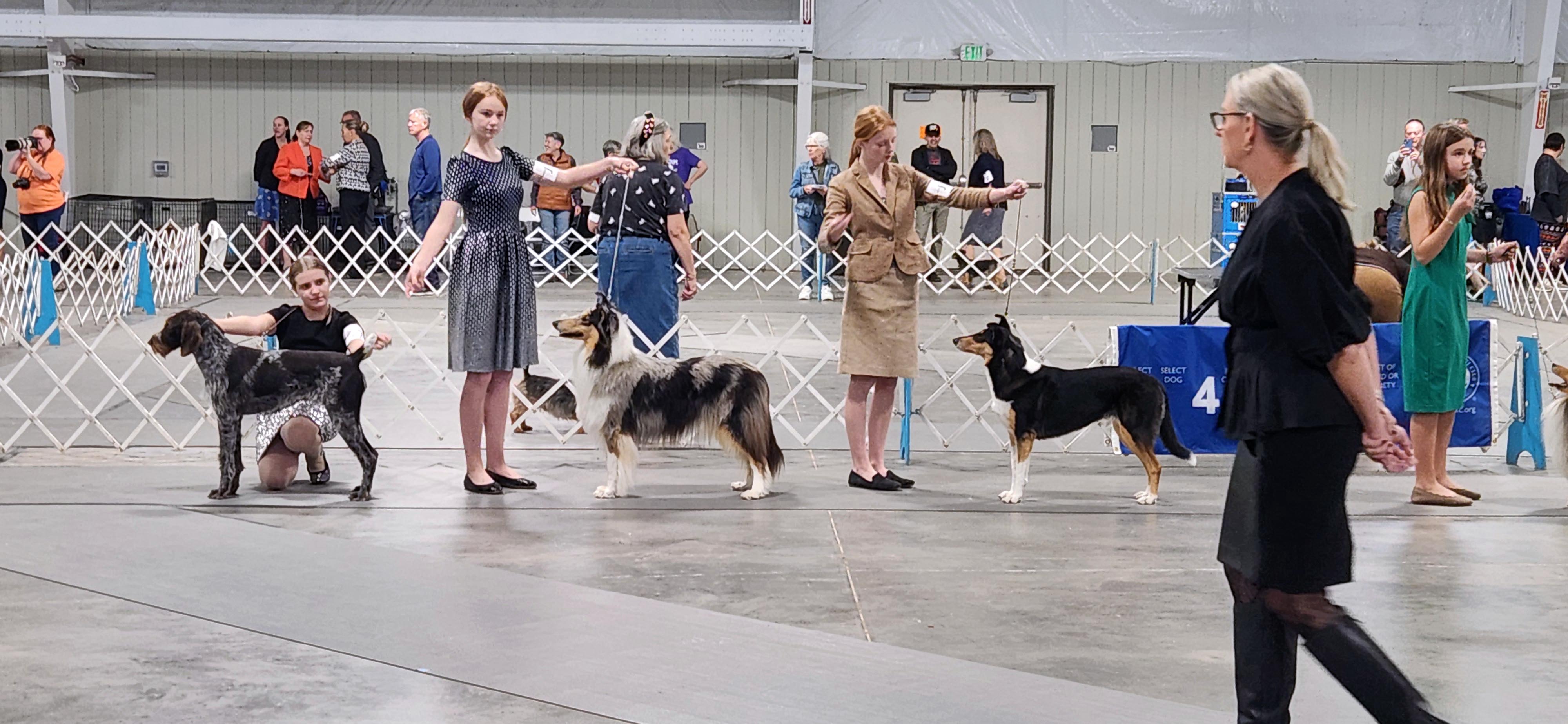 2025 Annual Show