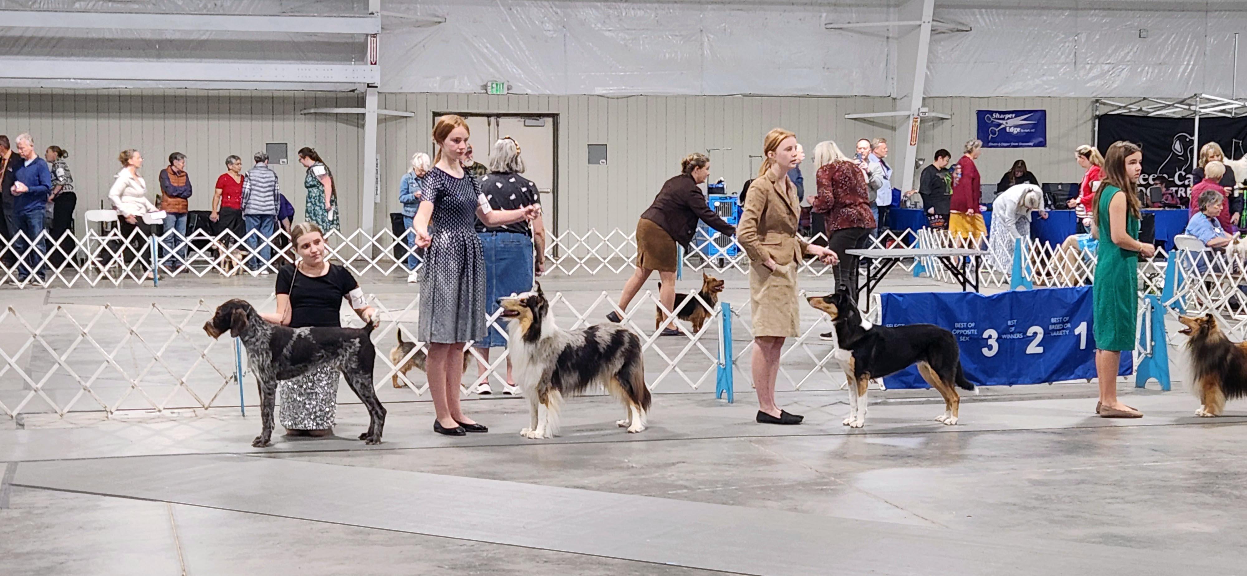 2025 Annual Show