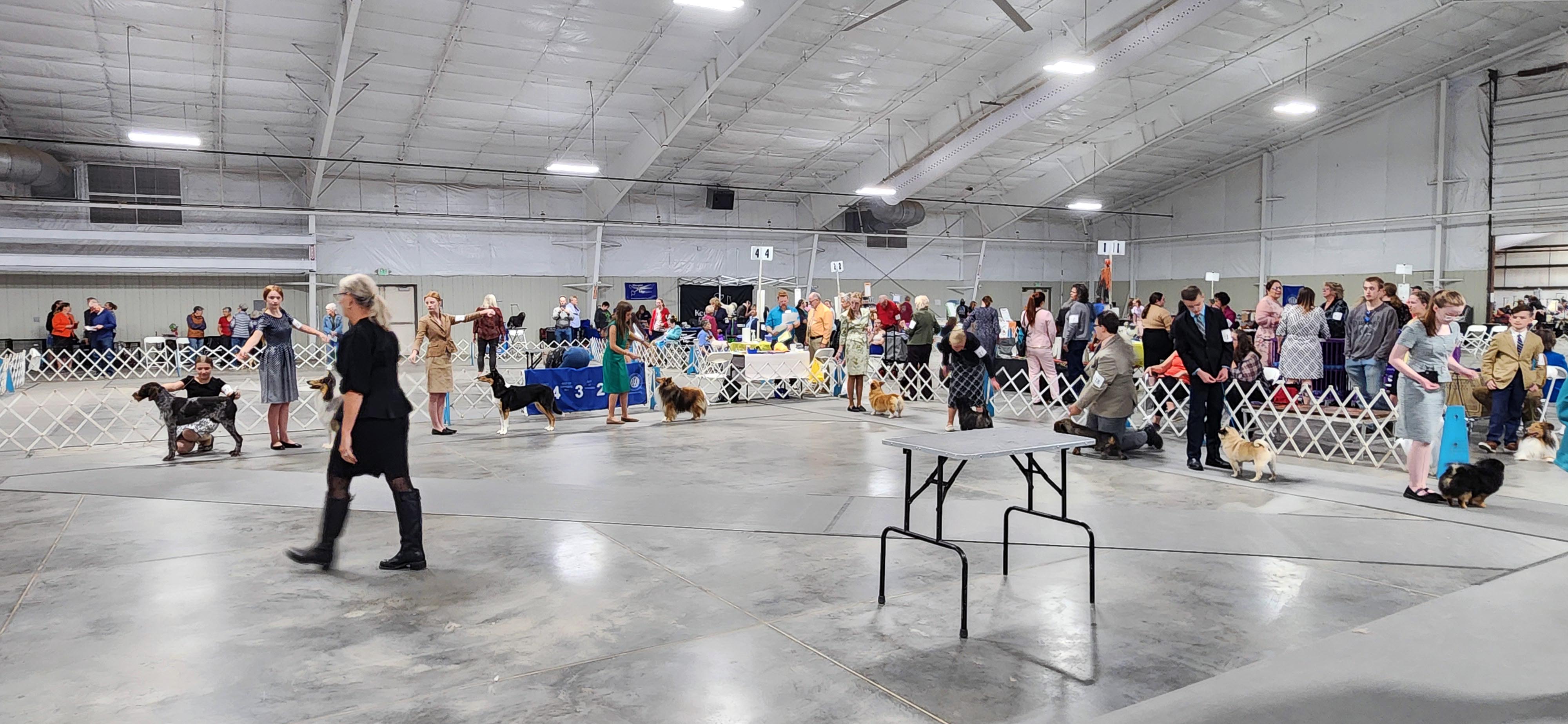 2025 Annual Show