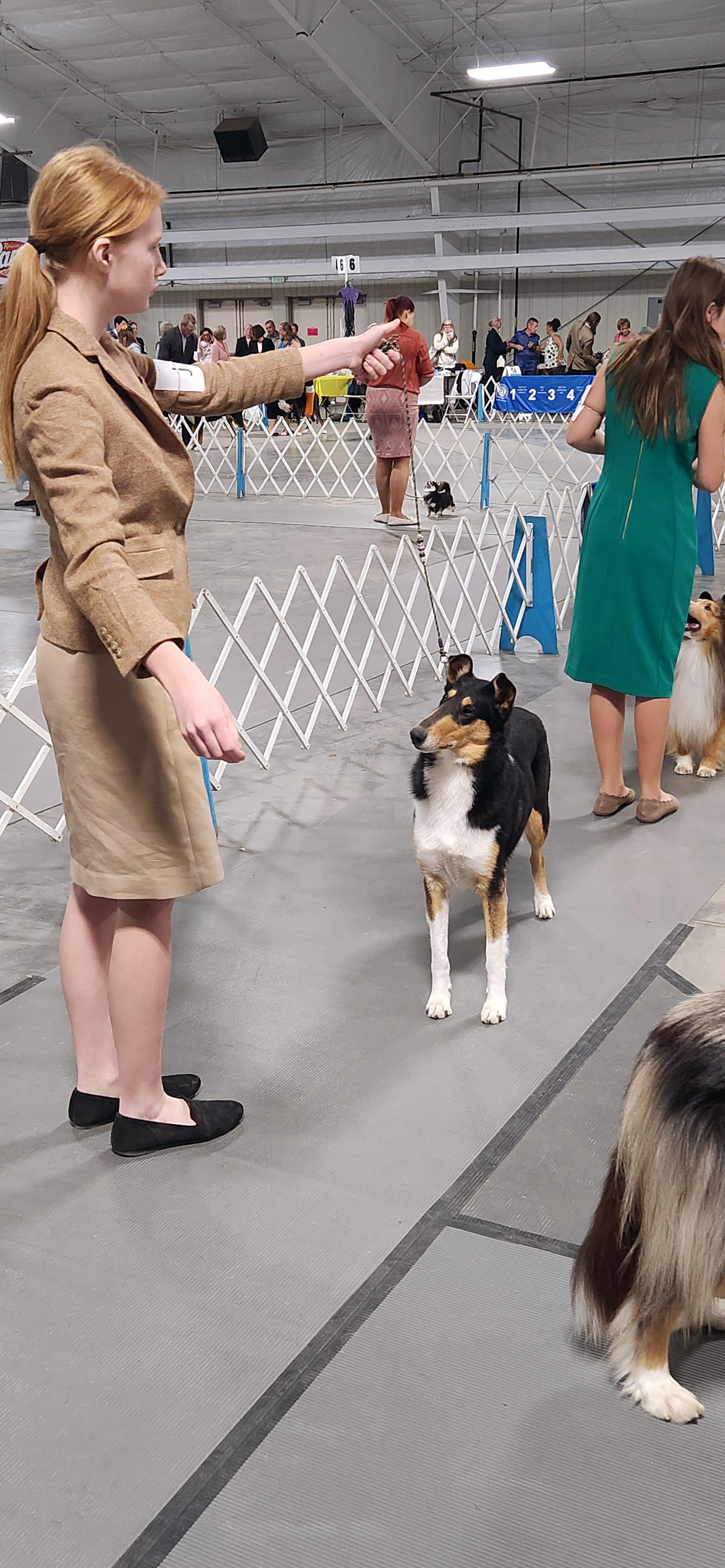 2025 Annual Show
