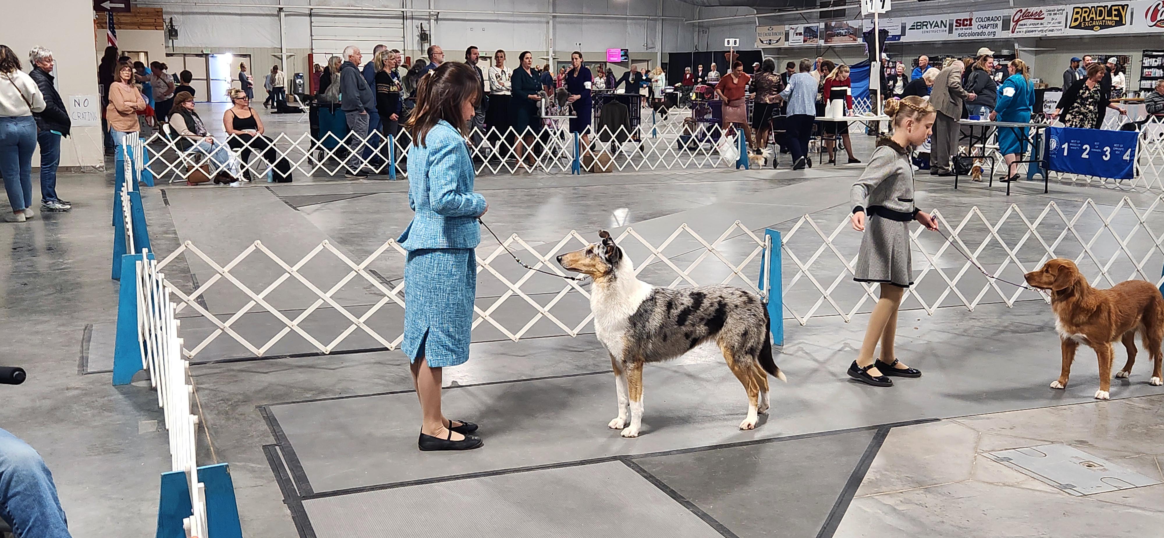 2025 Annual Show