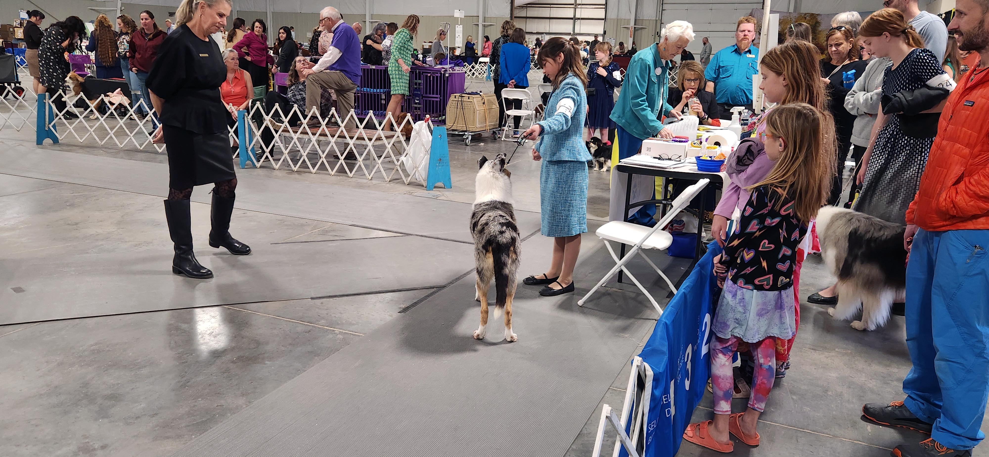 2025 Annual Show