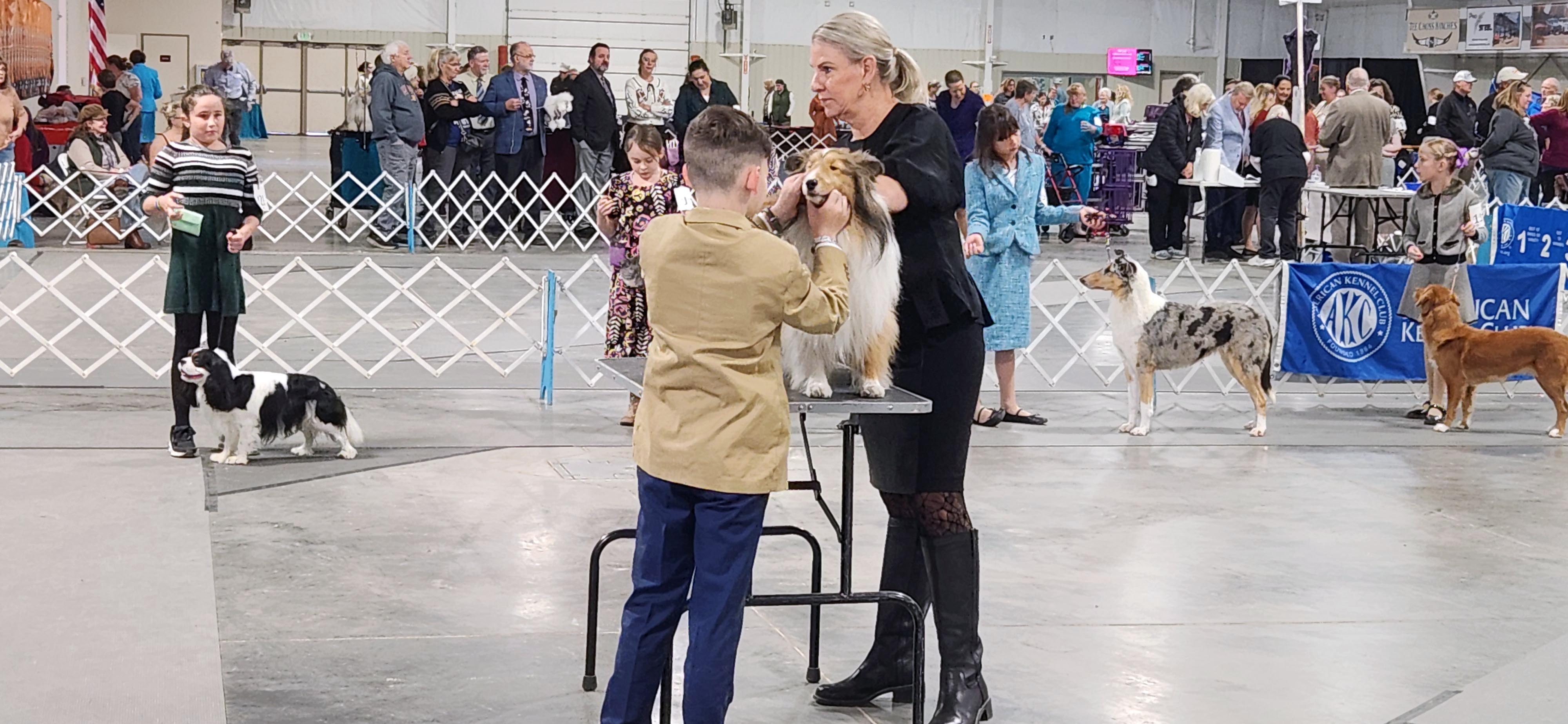 2025 Annual Show