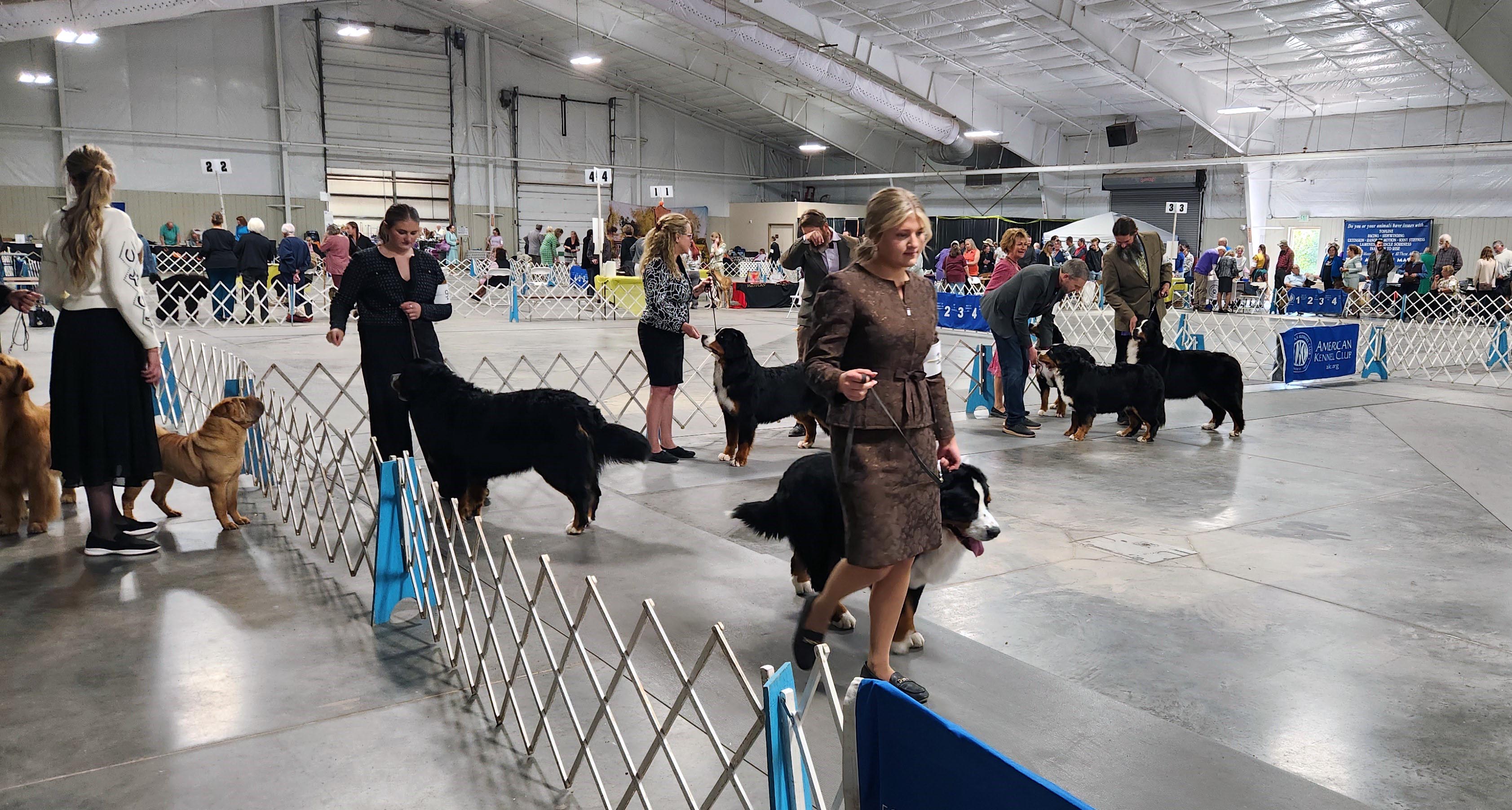 2025 Annual Show