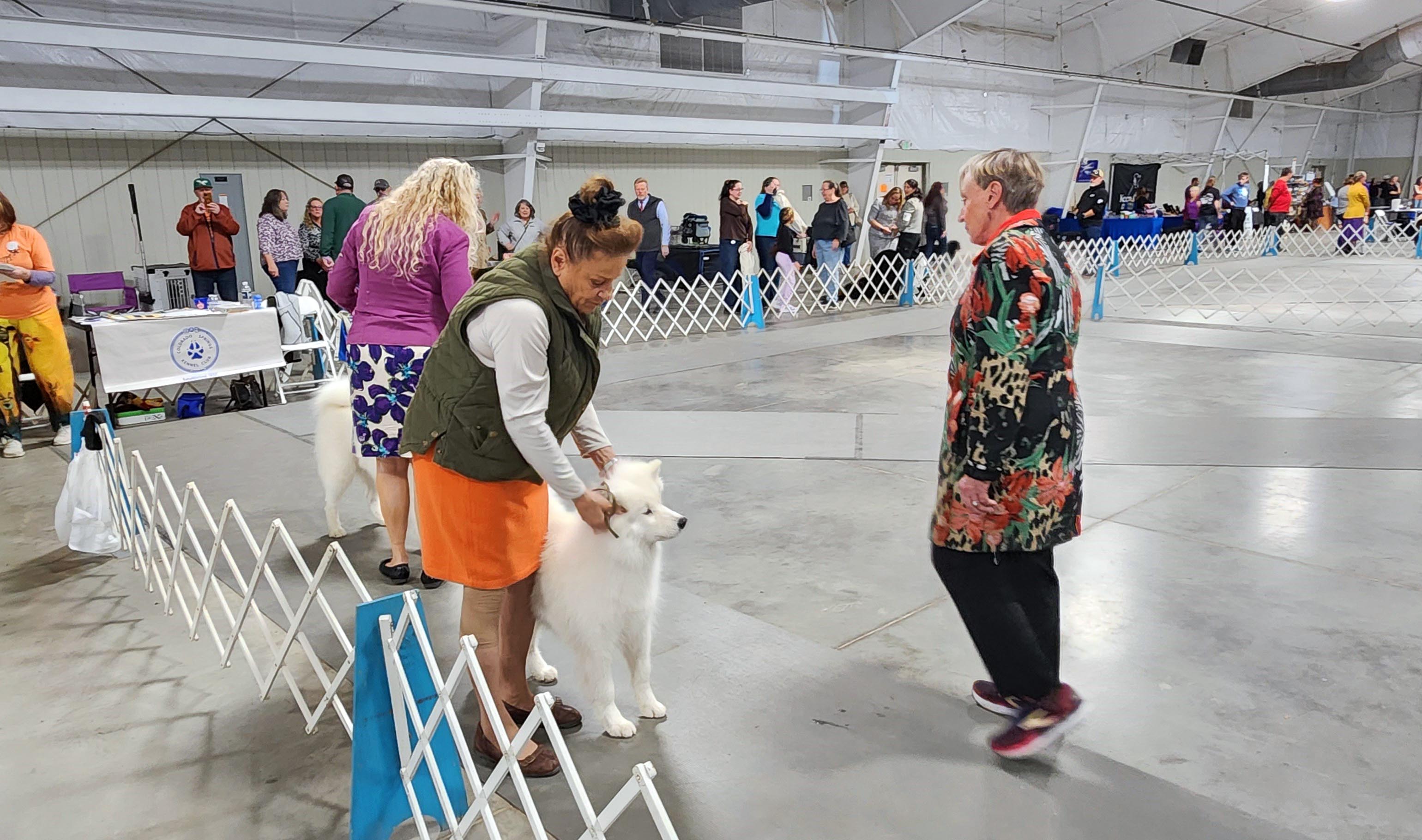 2025 Annual Show