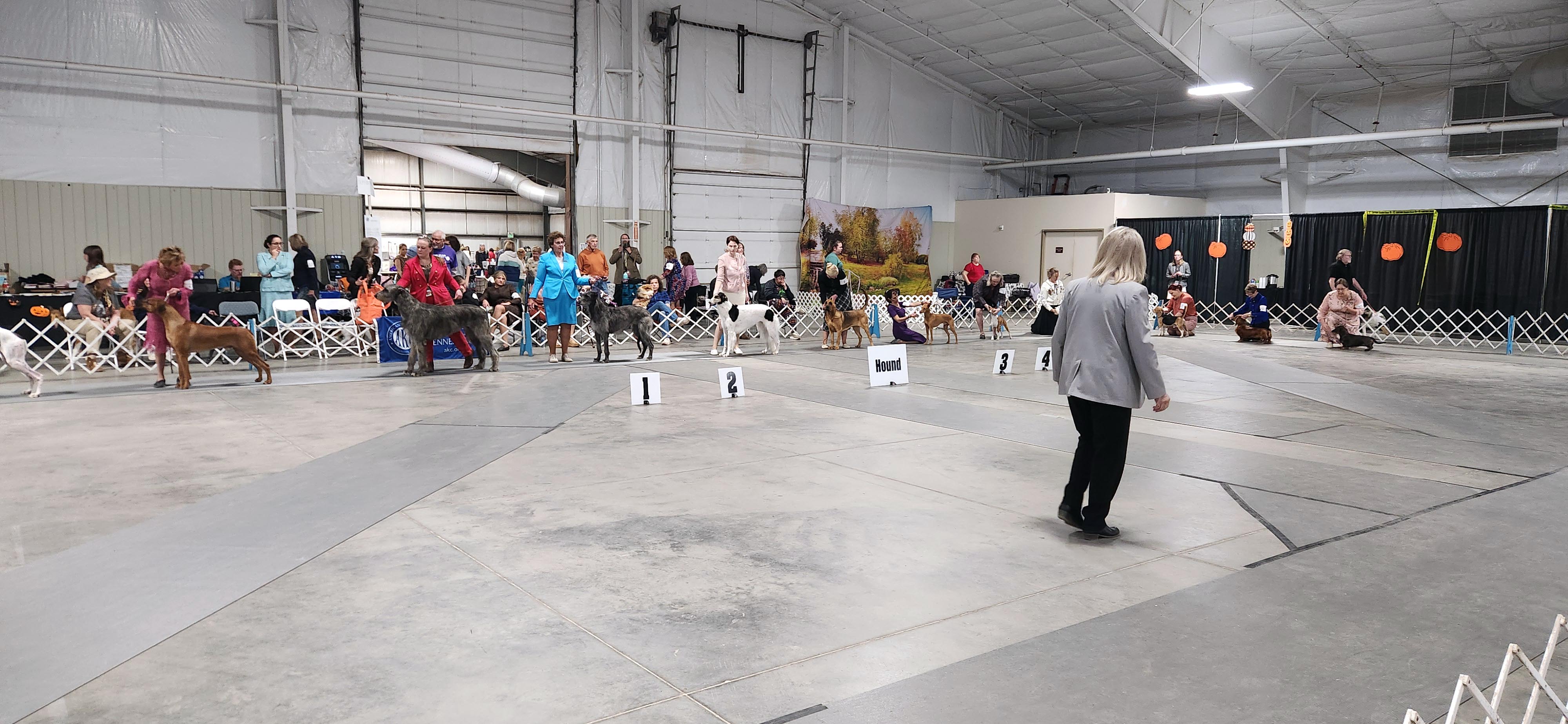 2025 Annual Show