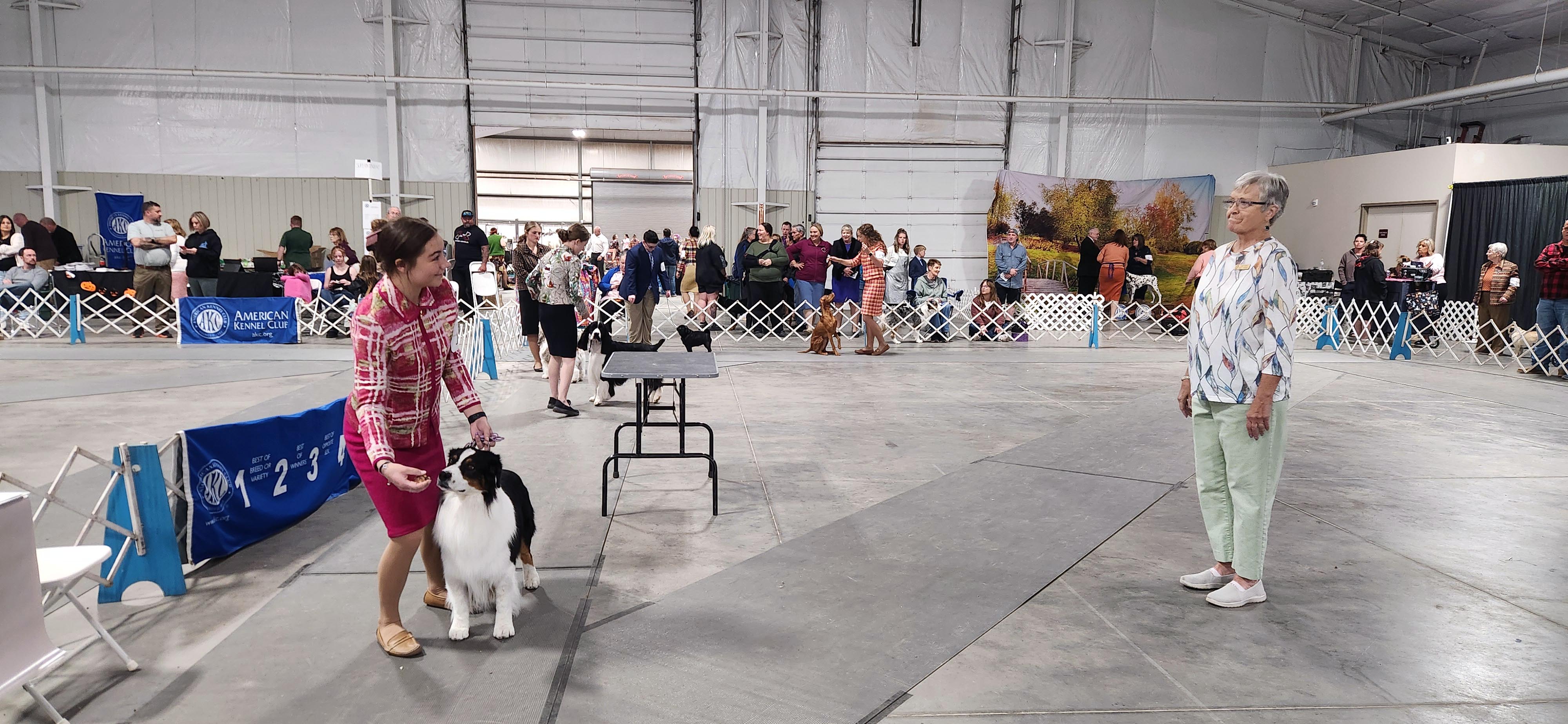 2025 Annual Show
