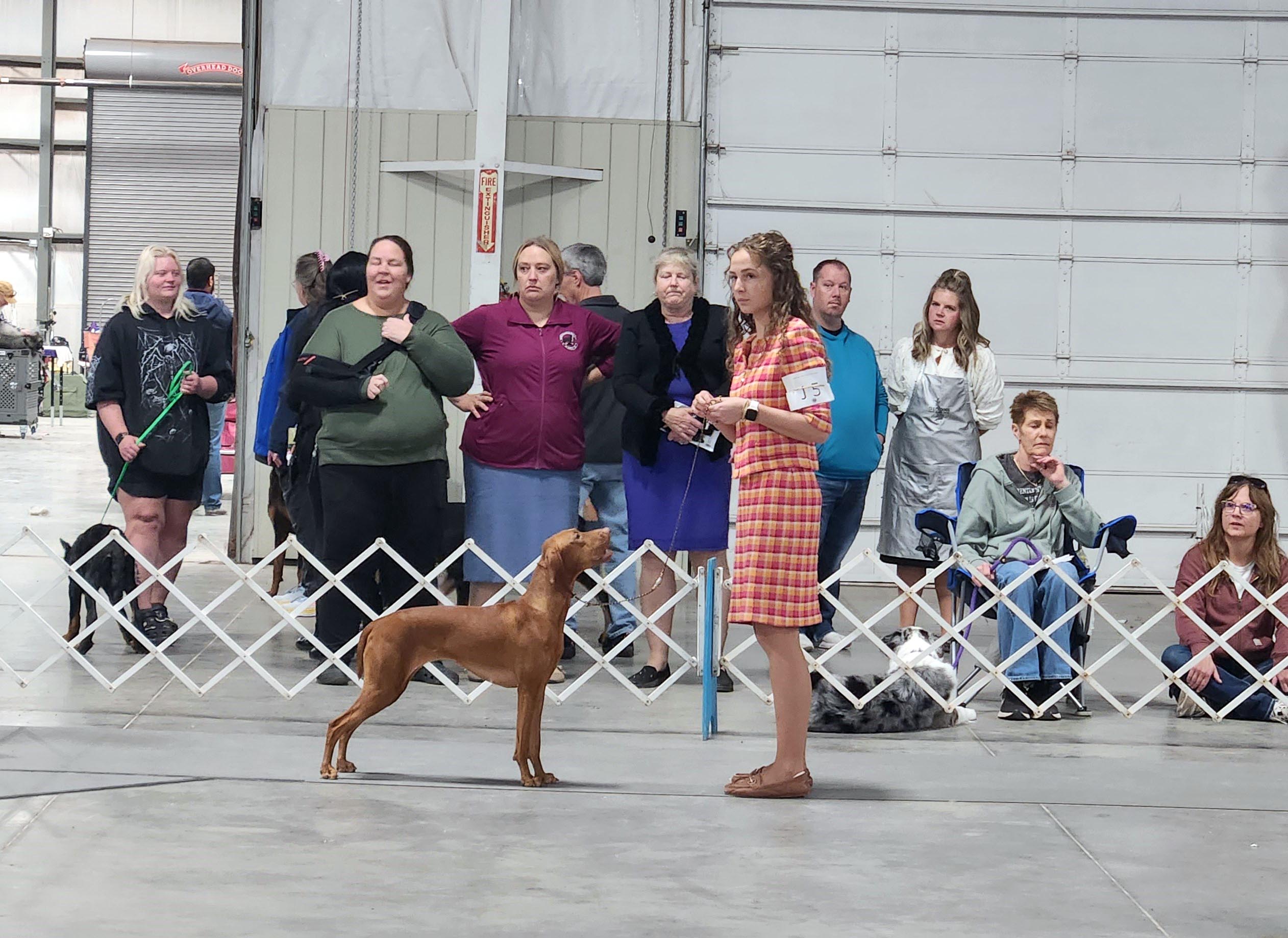 2025 Annual Show