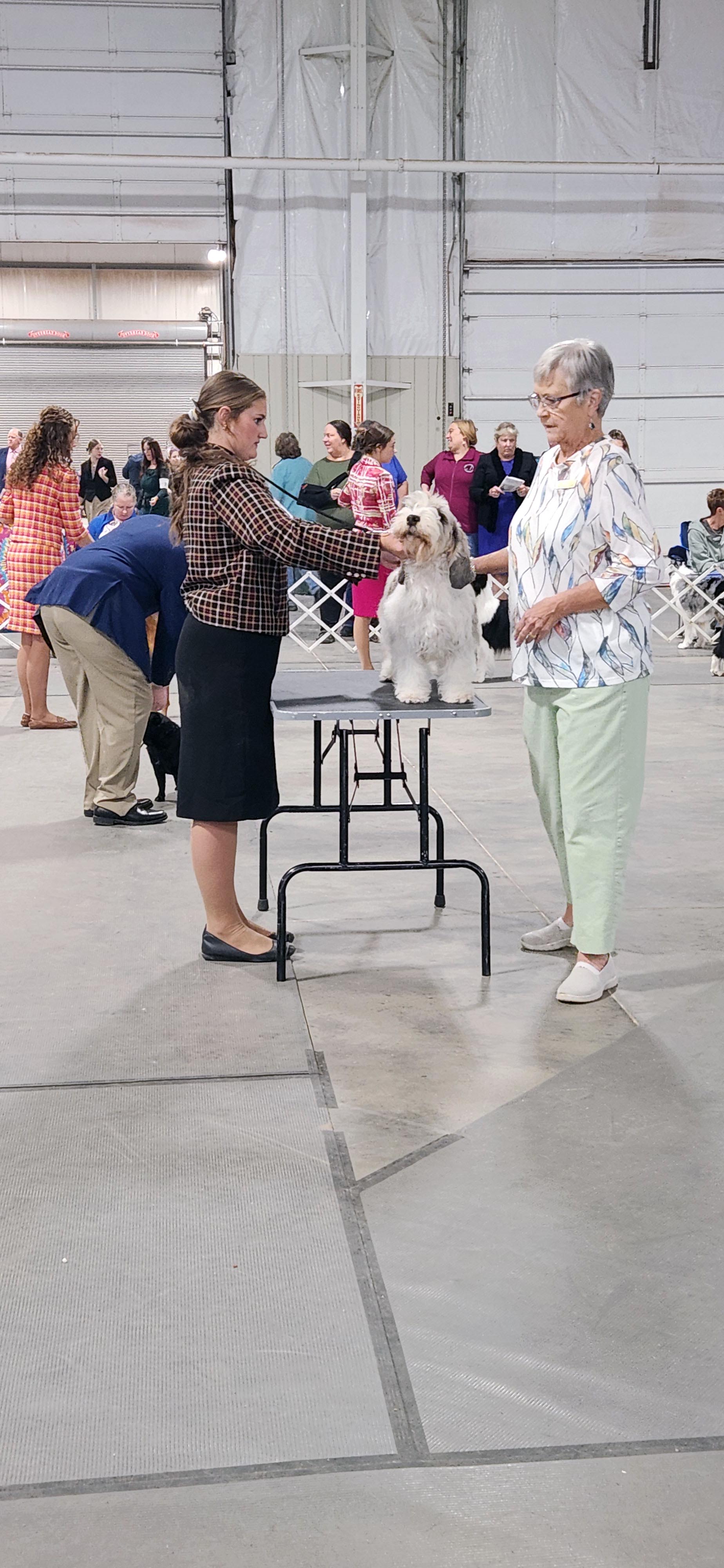 2025 Annual Show