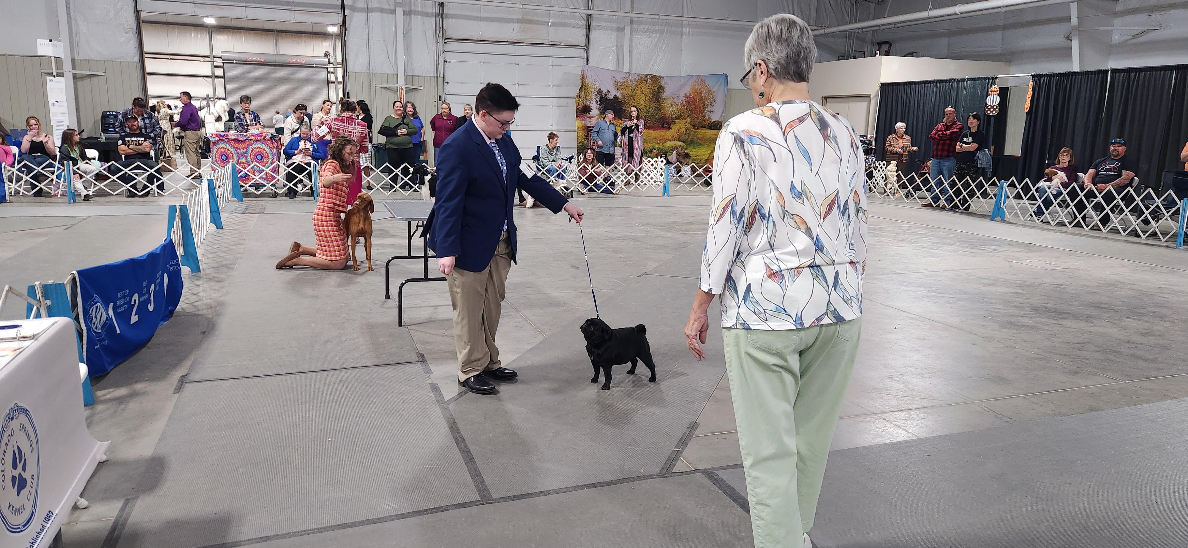 2025 Annual Show
