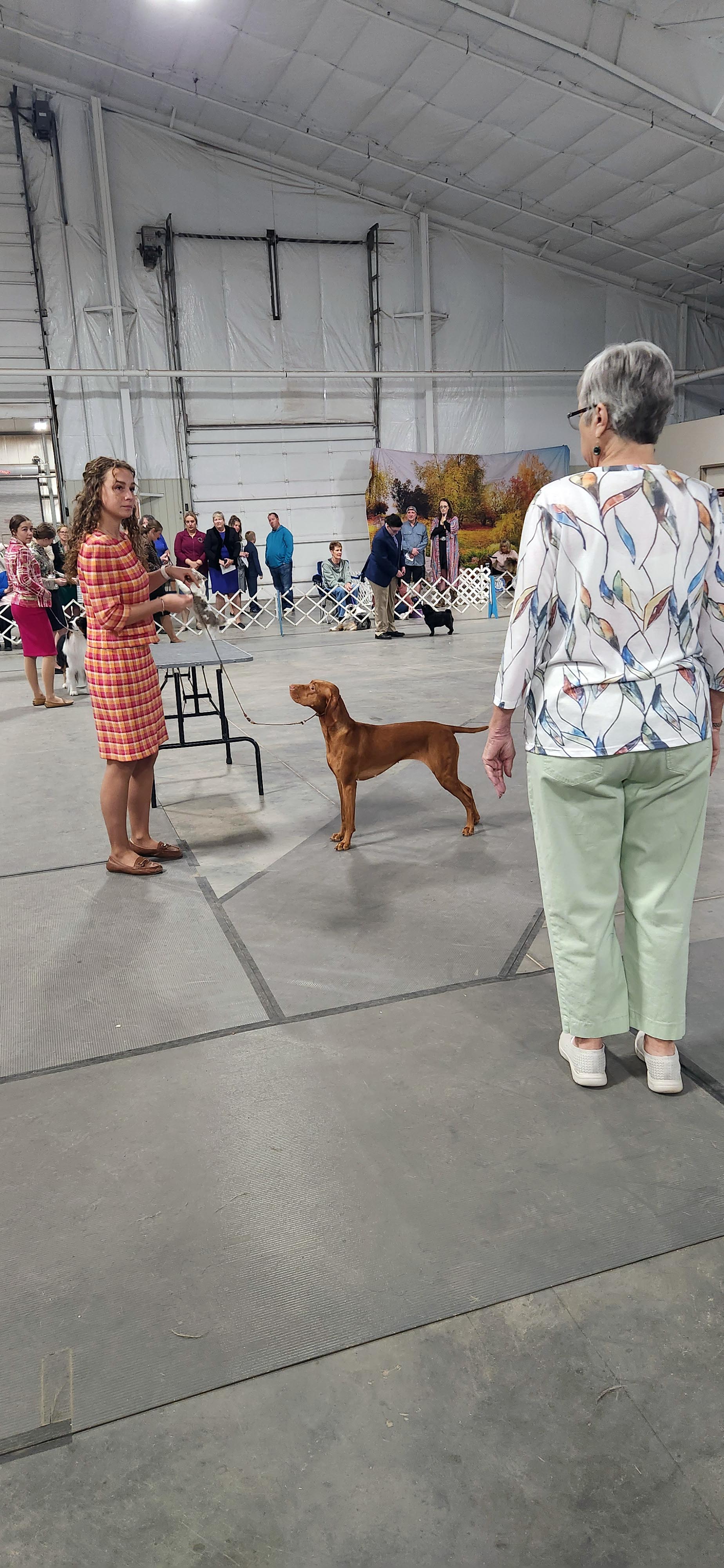 2025 Annual Show