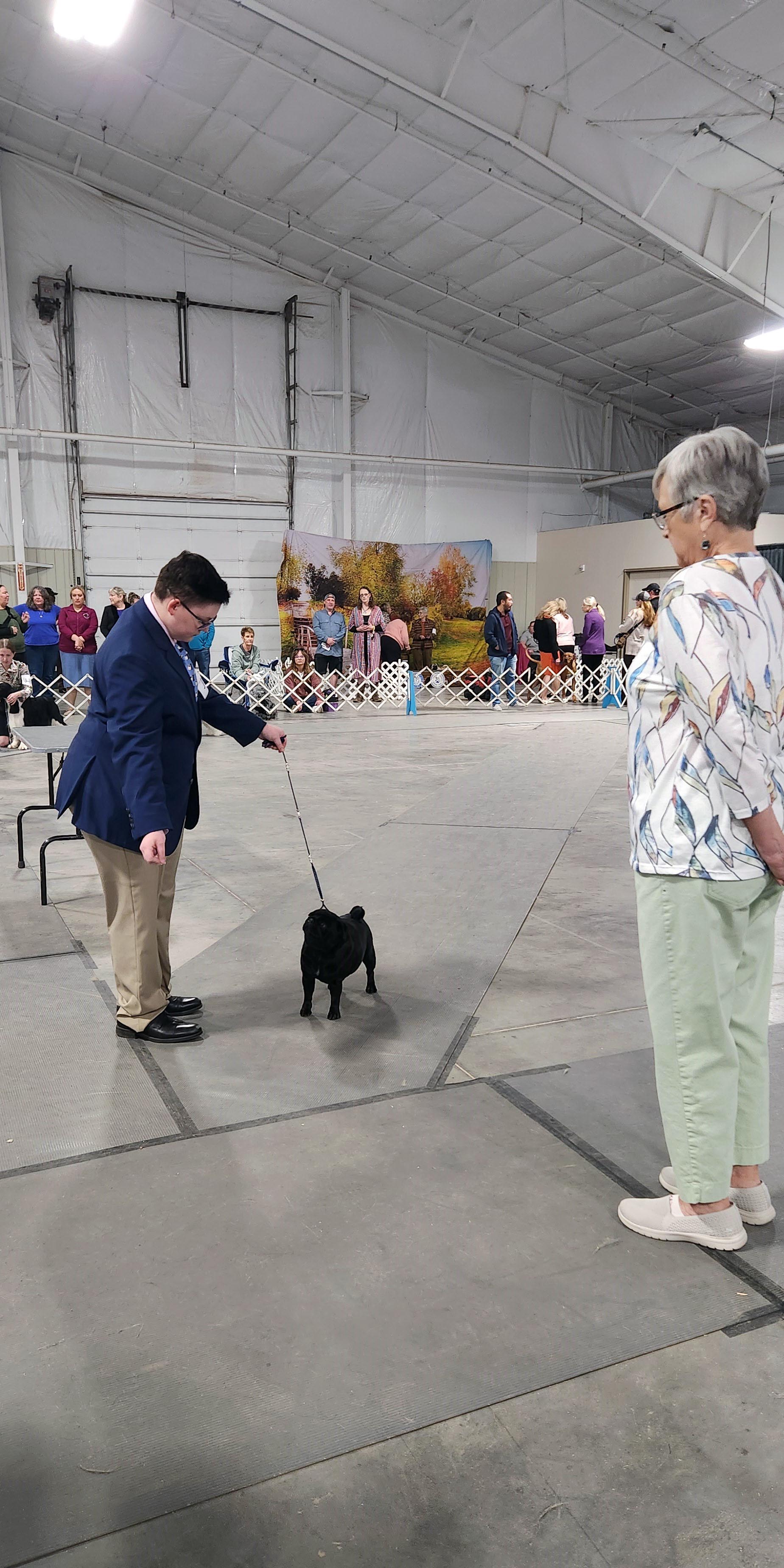 2025 Annual Show