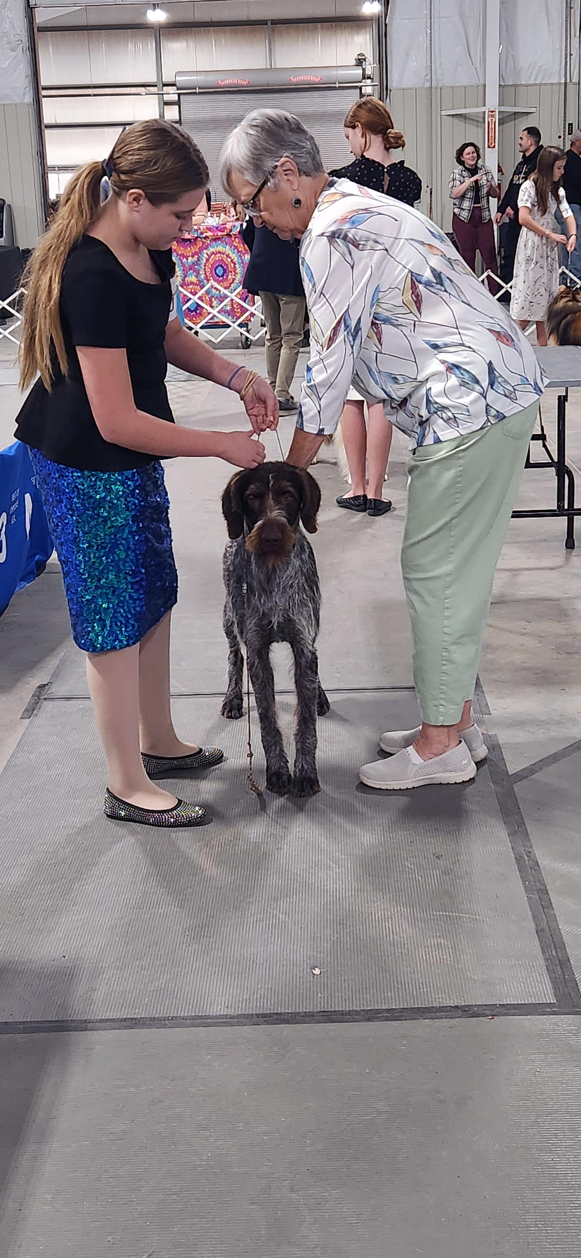 2025 Annual Show