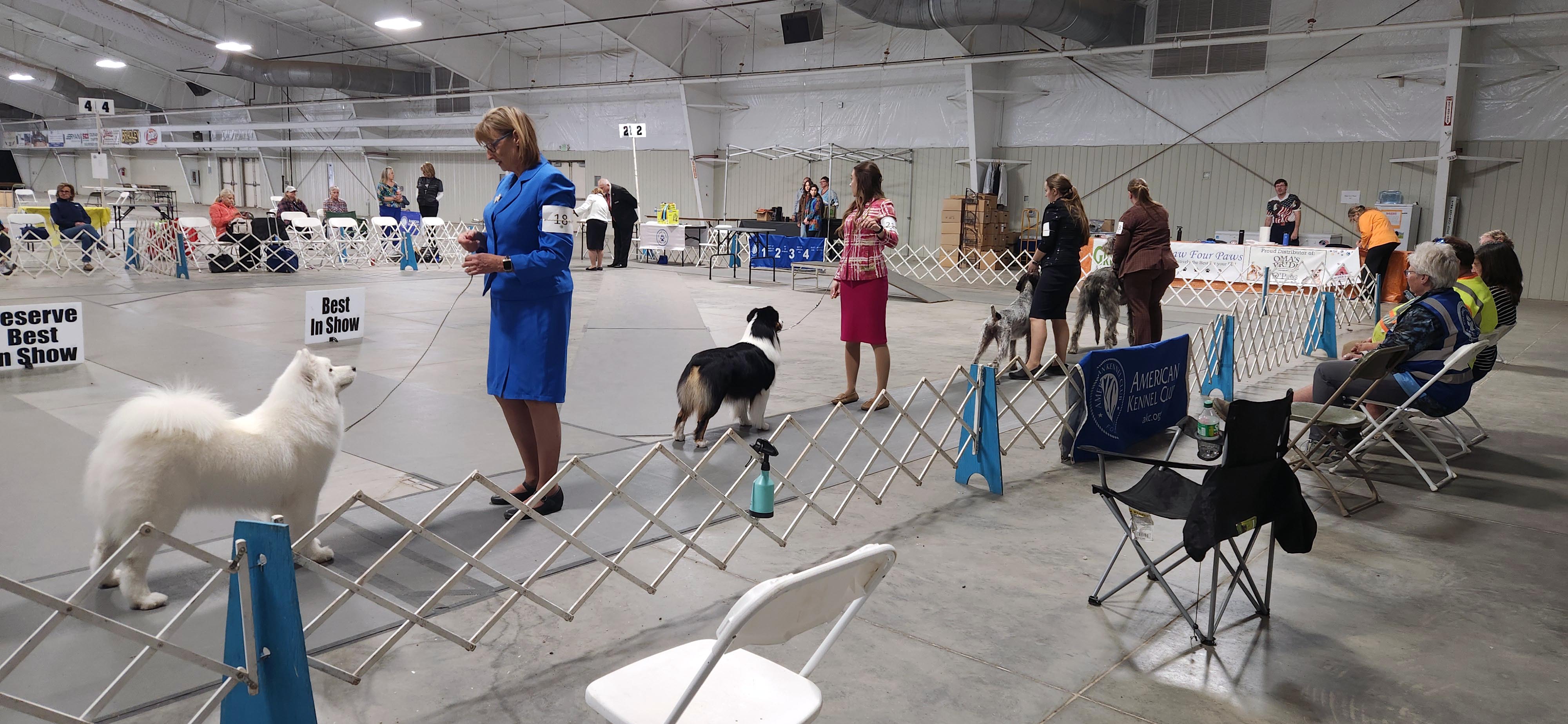 2025 Annual Show