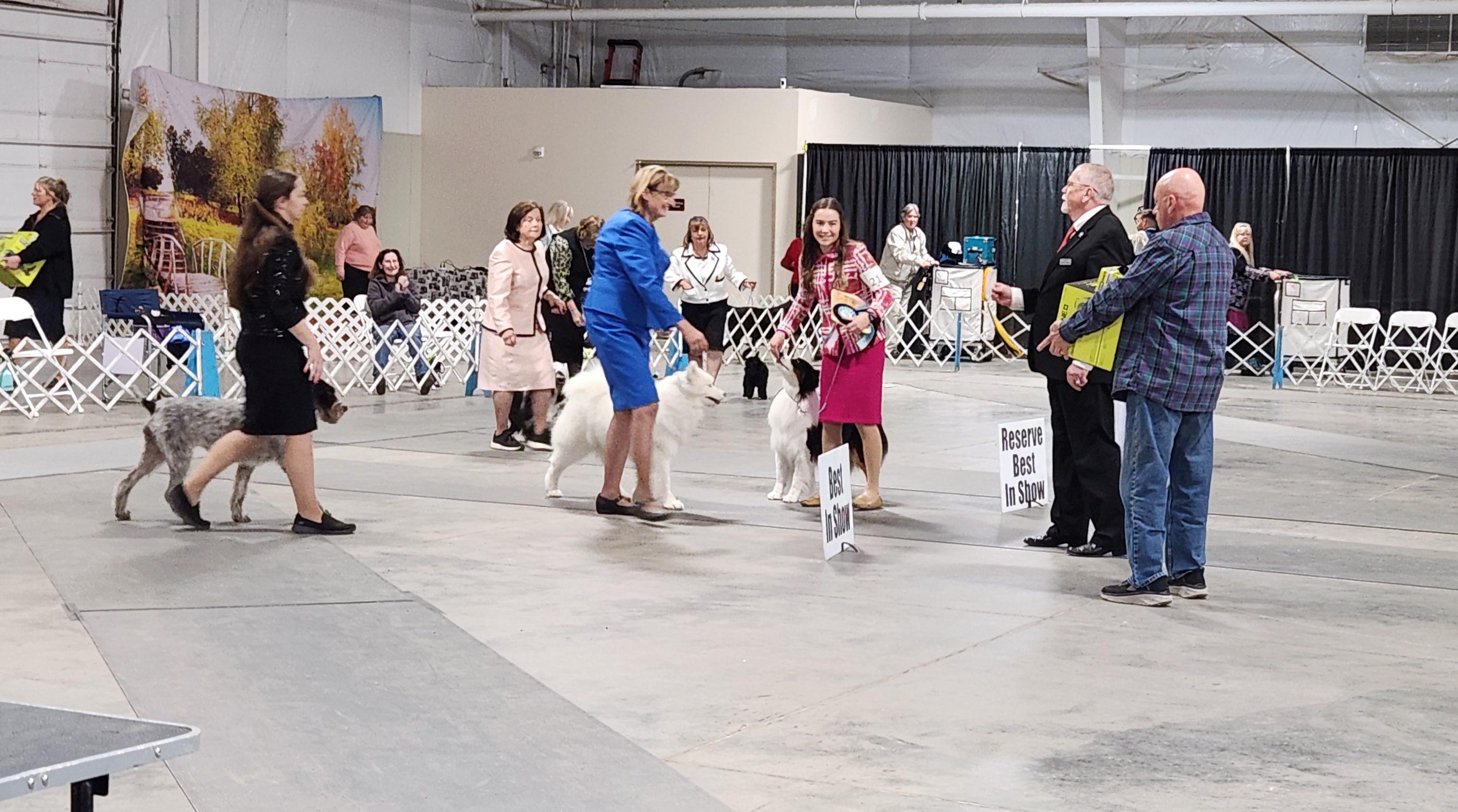 2025 Annual Show