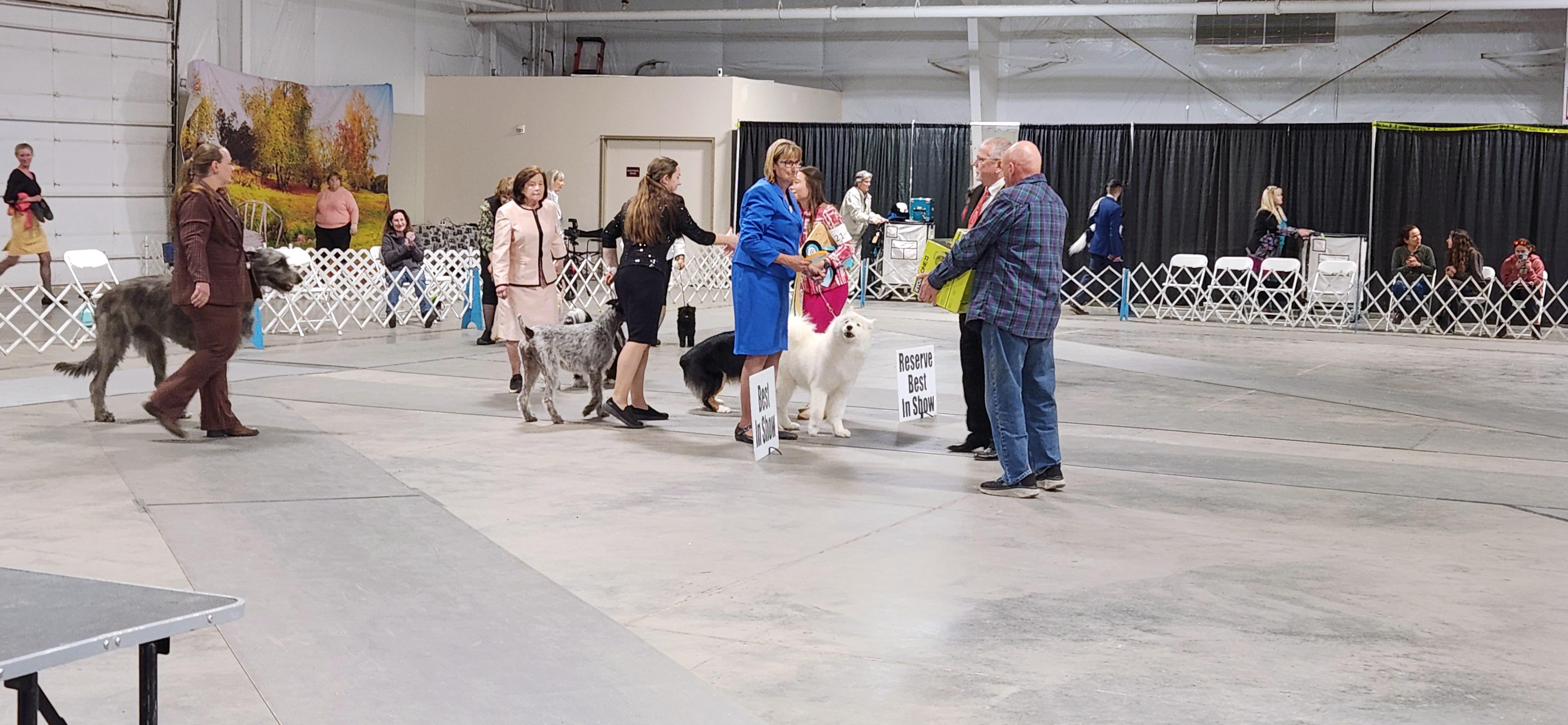 2025 Annual Show