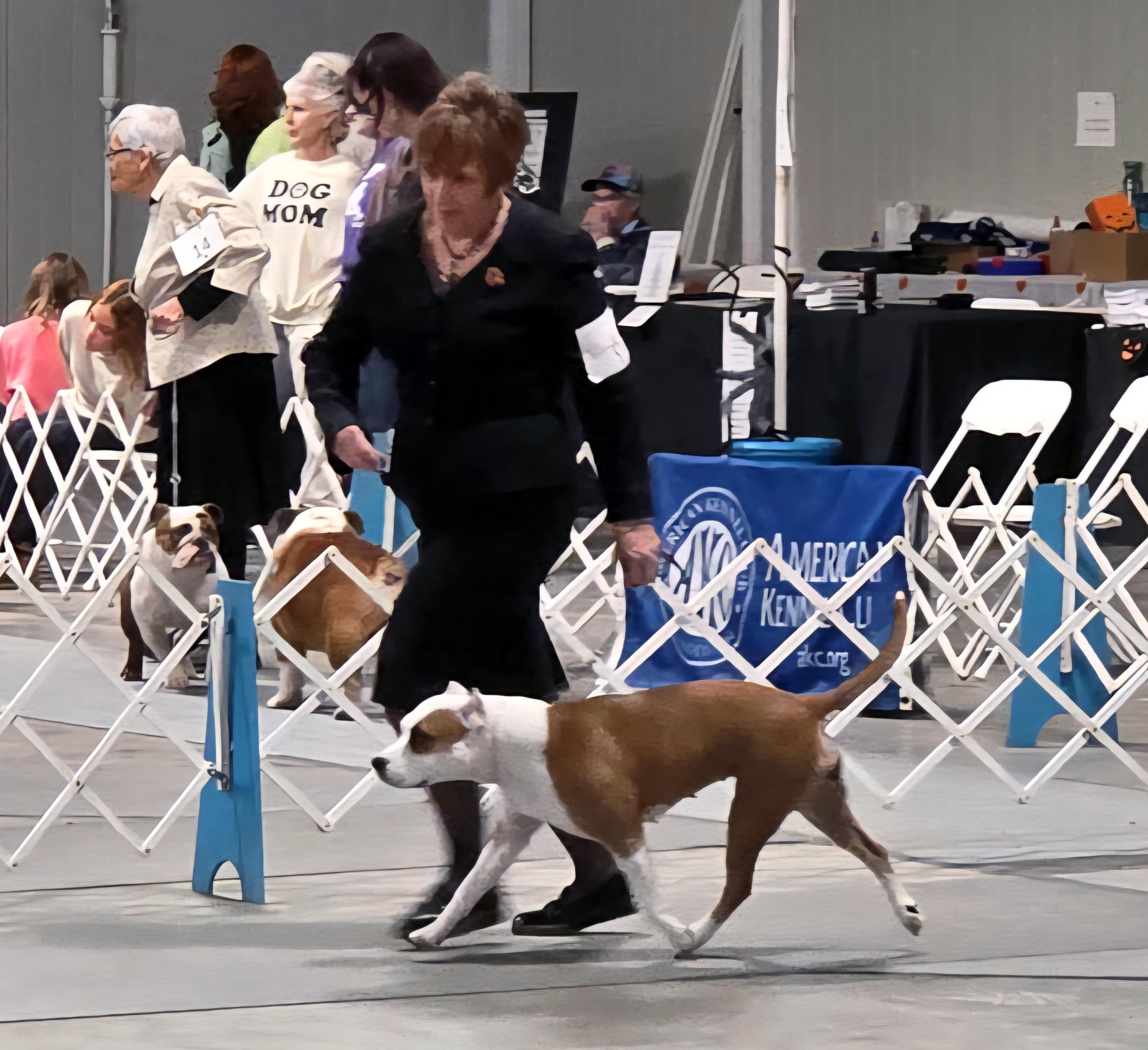 2025 Annual Show