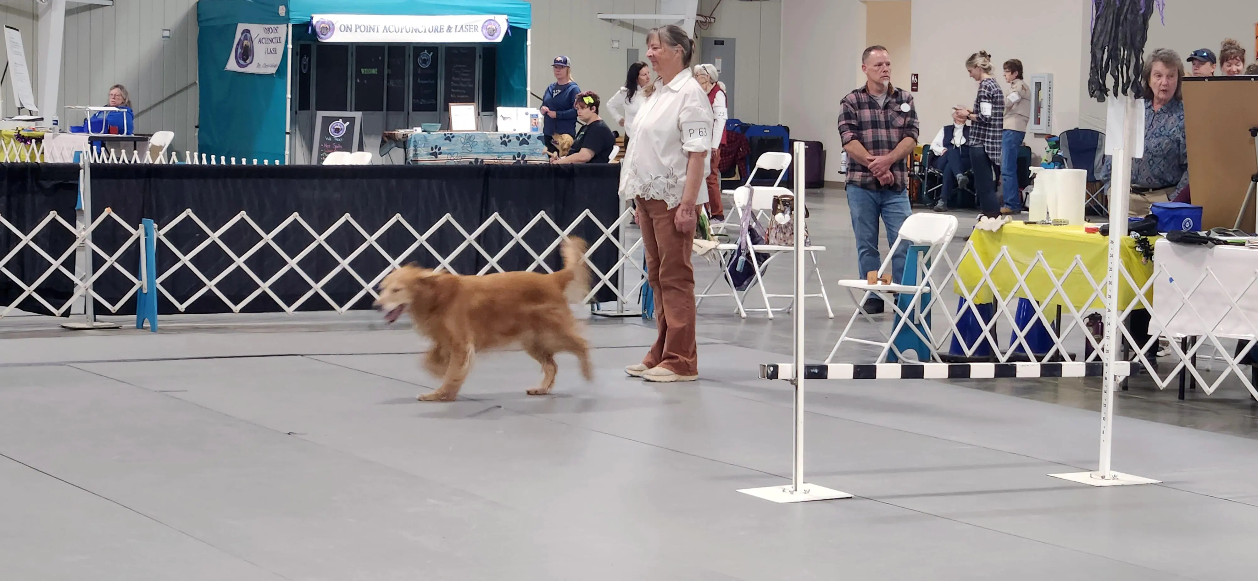 2025 Annual Show