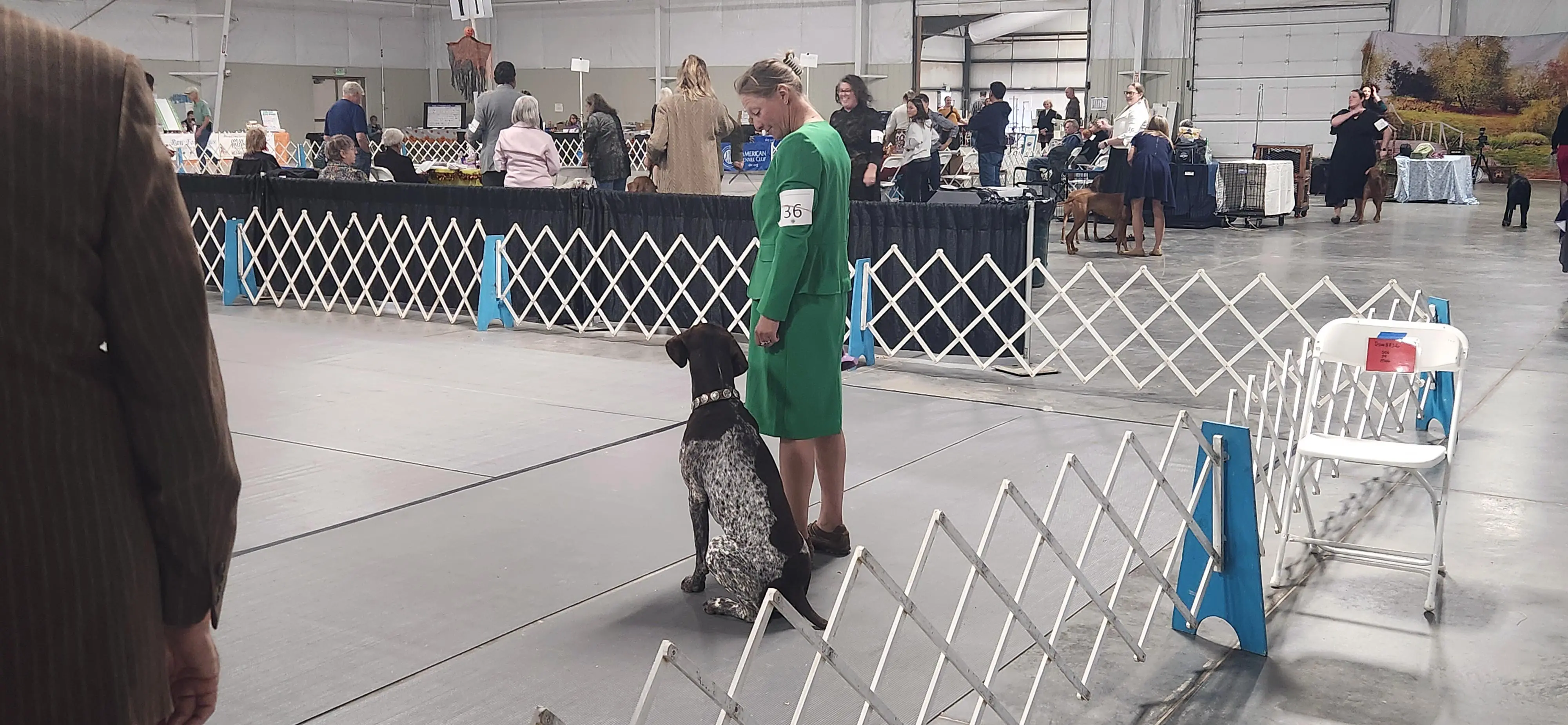 2025 Annual Show