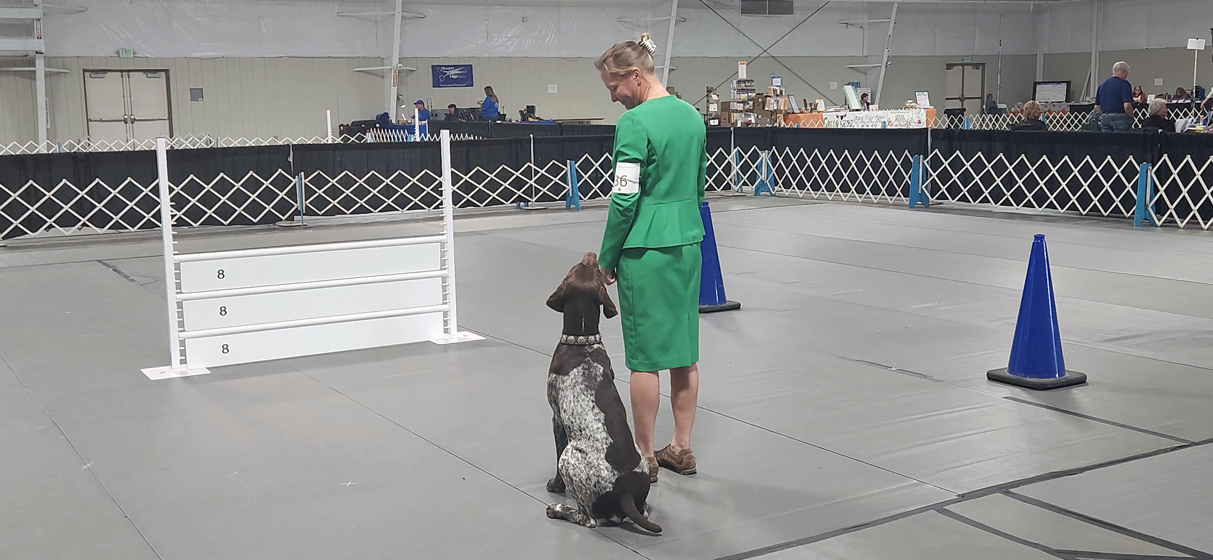 2025 Annual Show