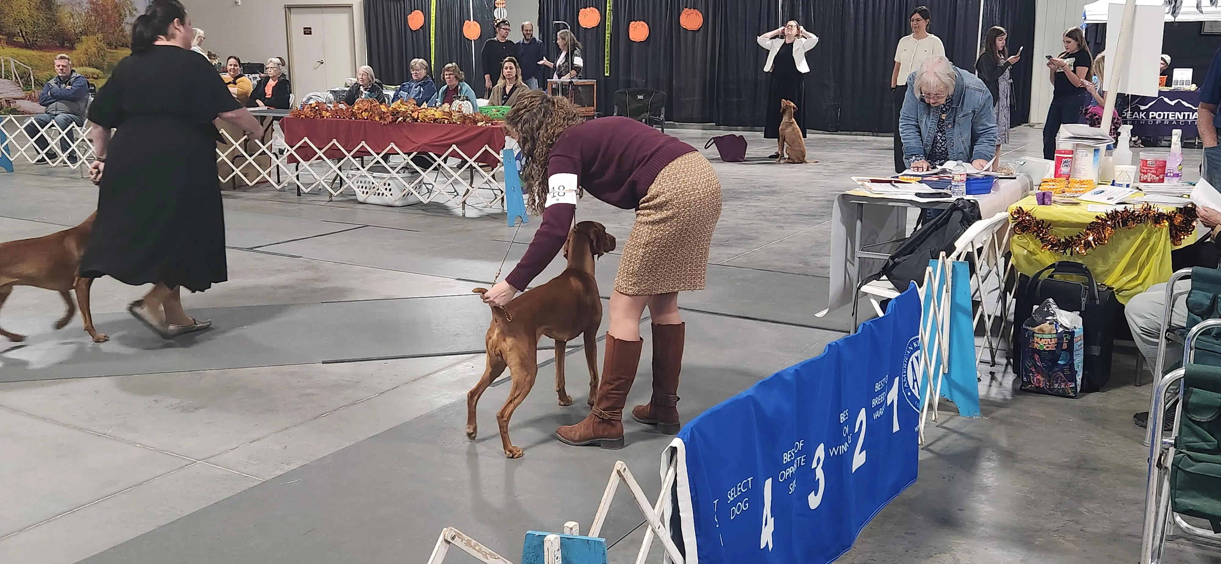 2025 Annual Show