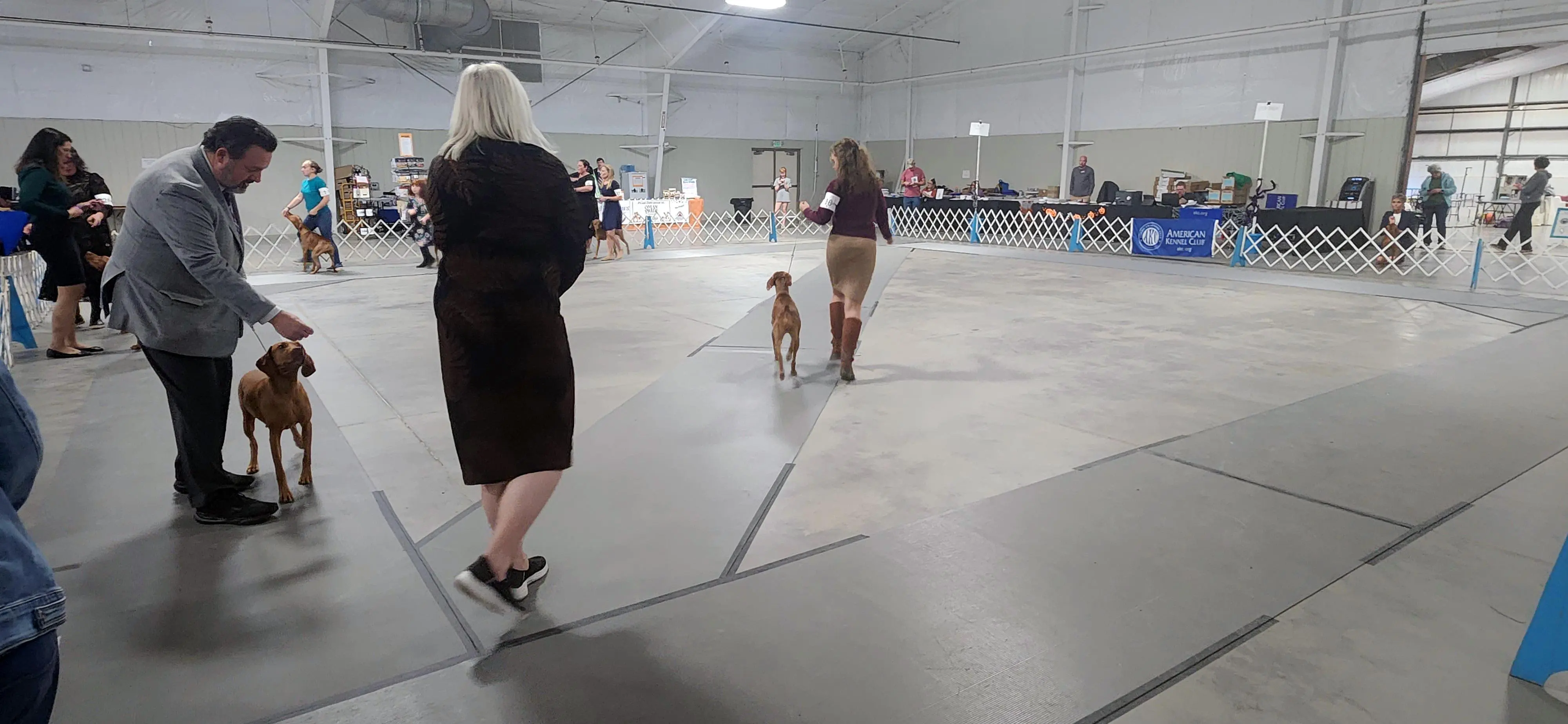 2025 Annual Show