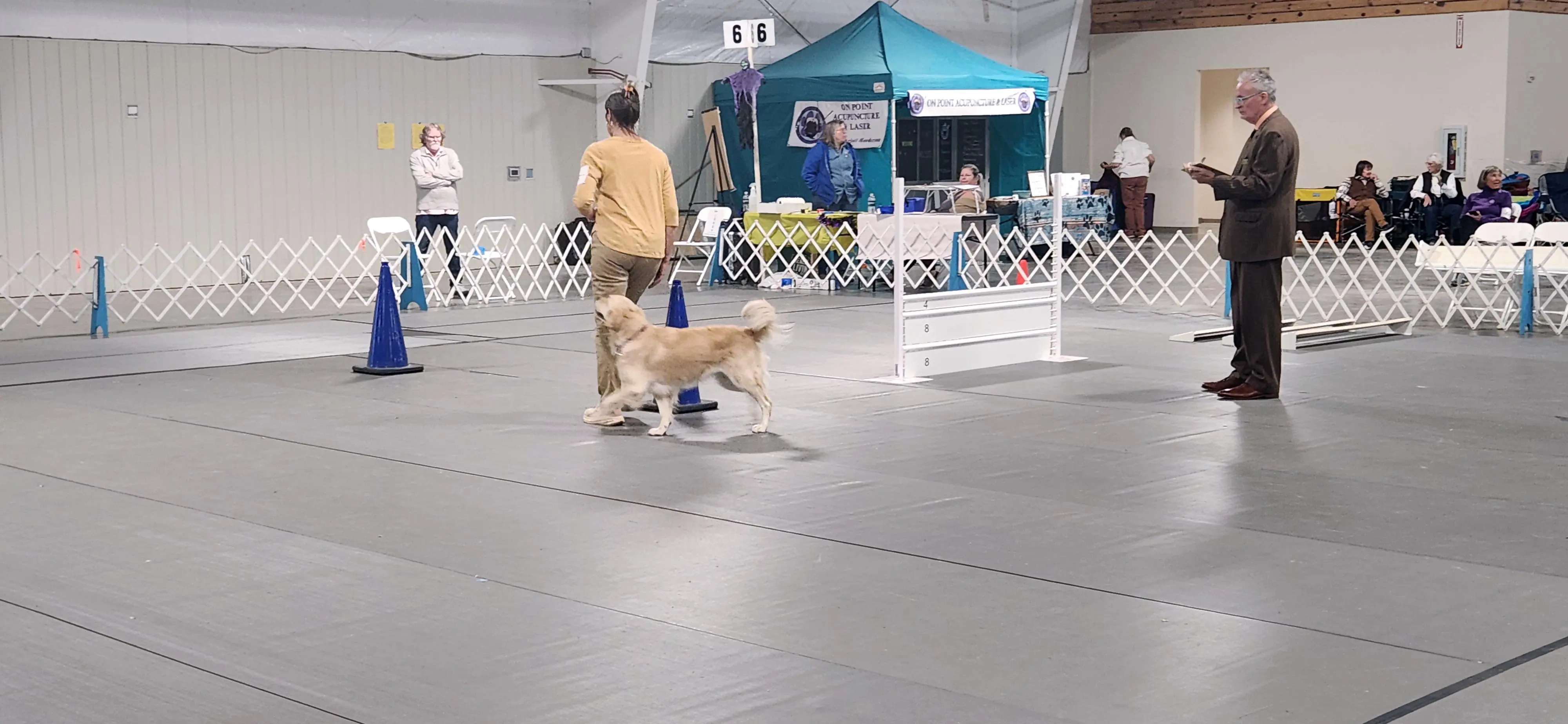 2025 Annual Show