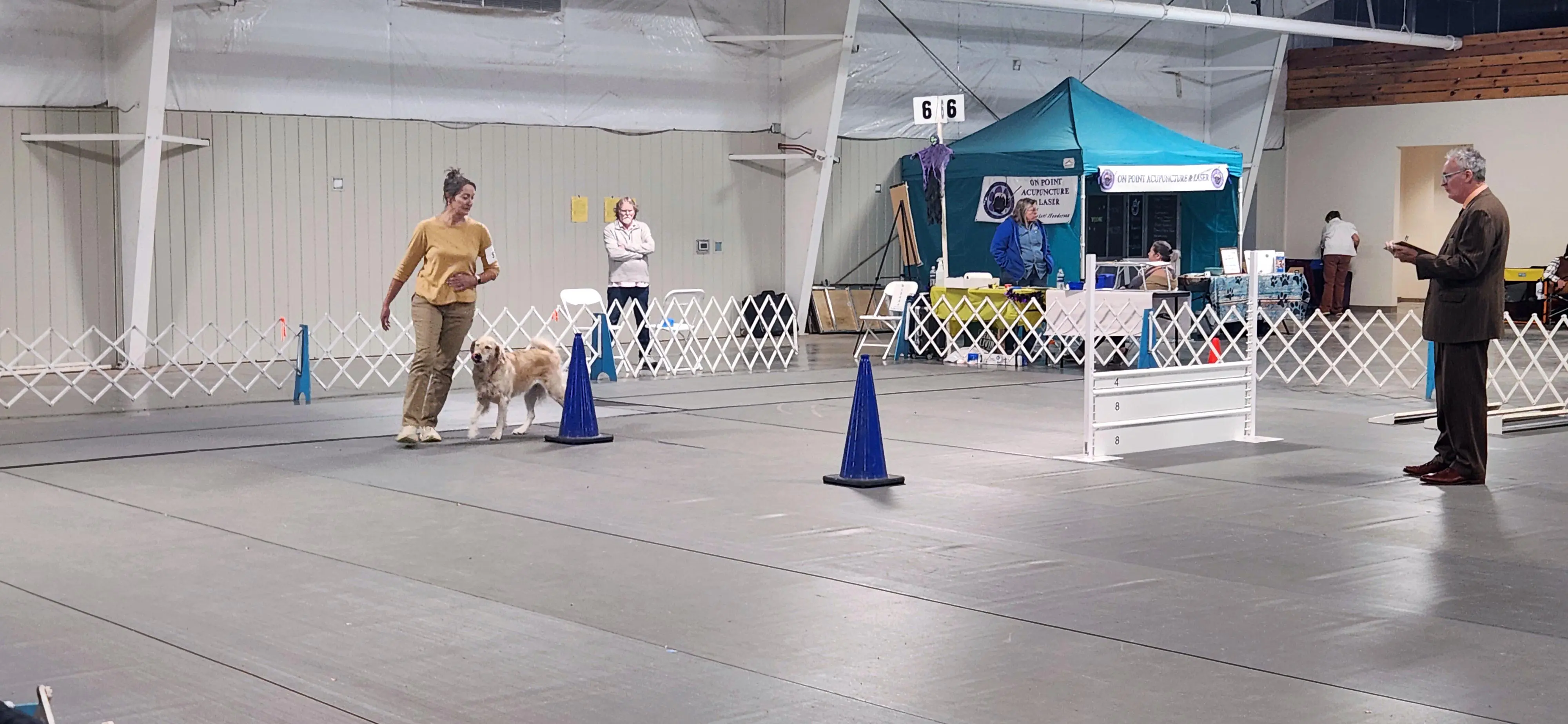 2025 Annual Show