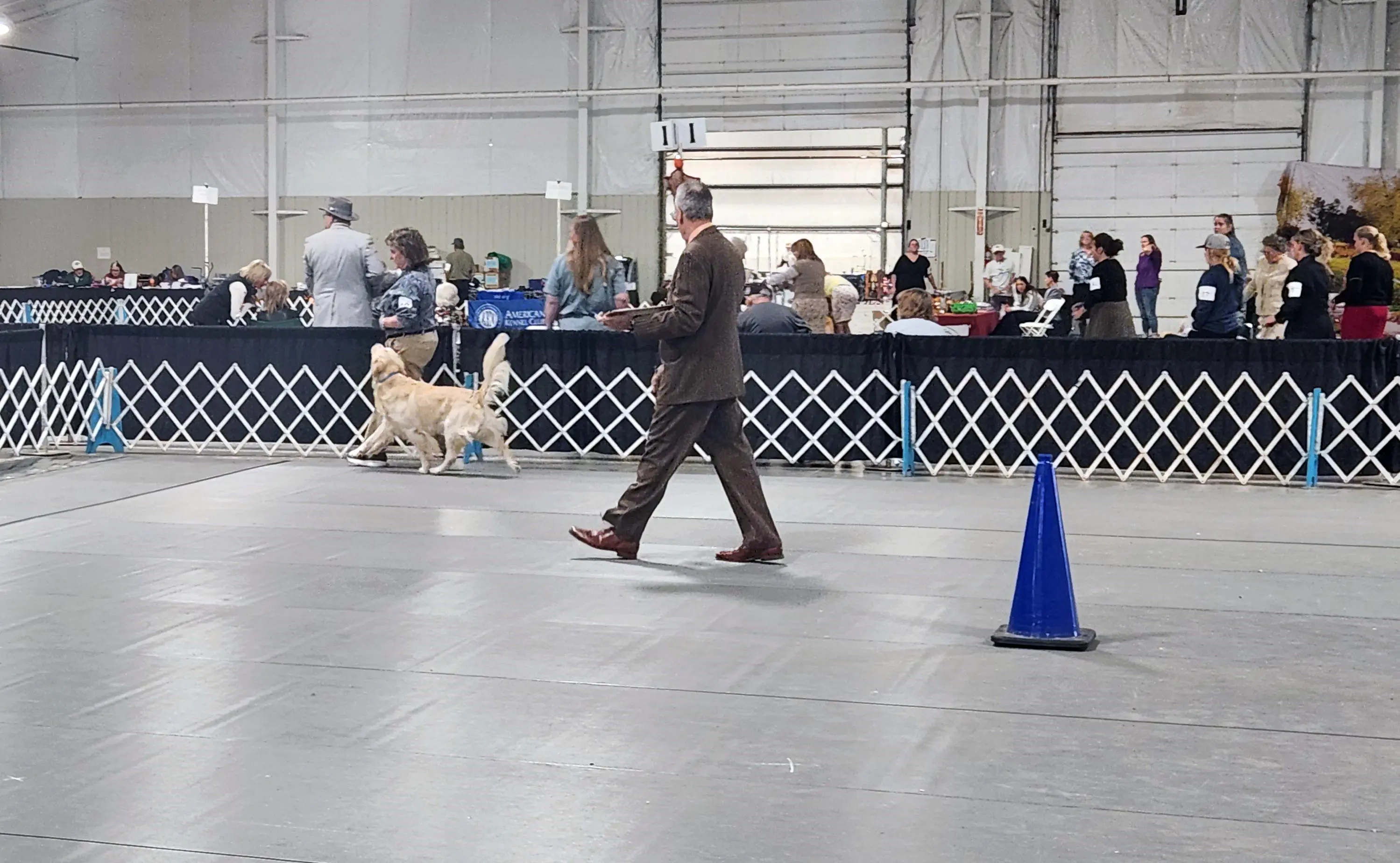 2025 Annual Show