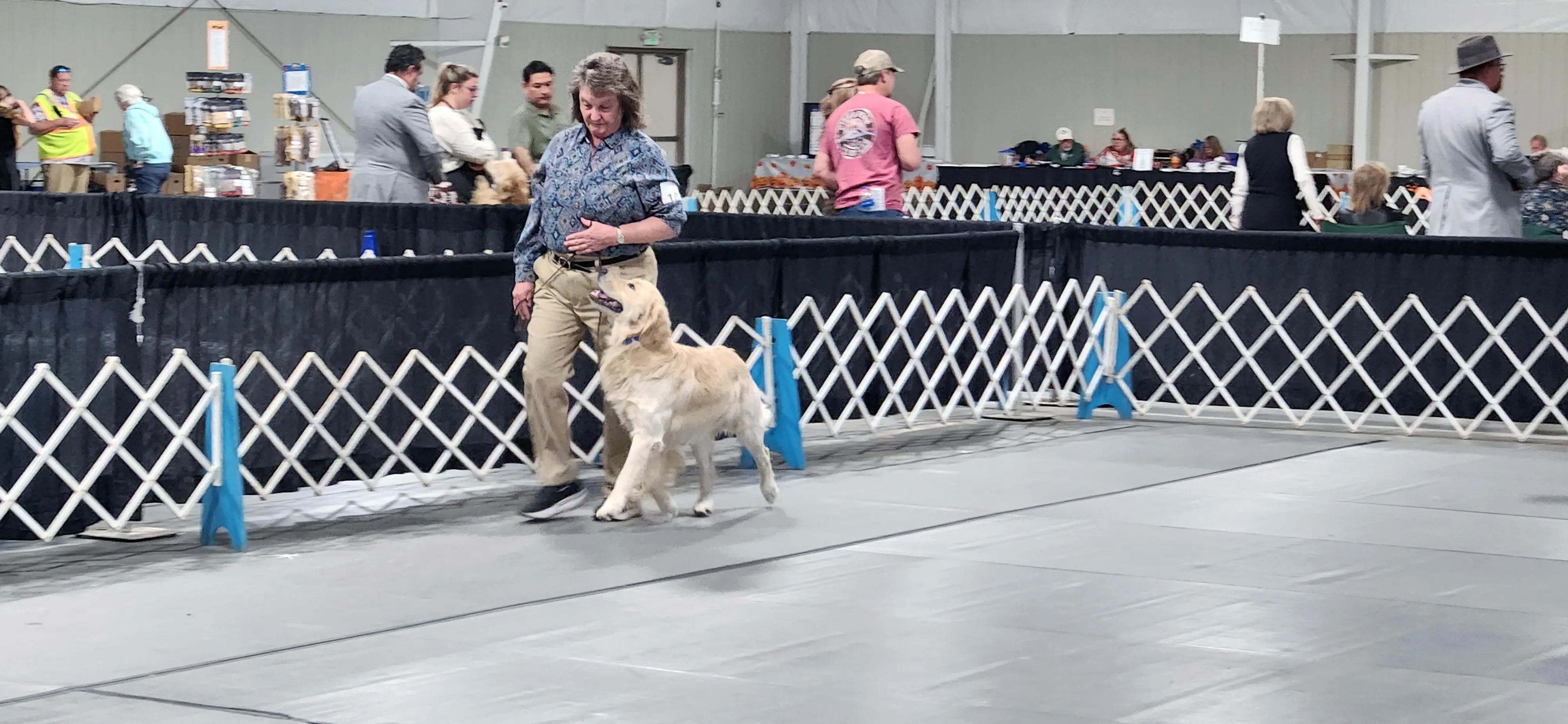 2025 Annual Show
