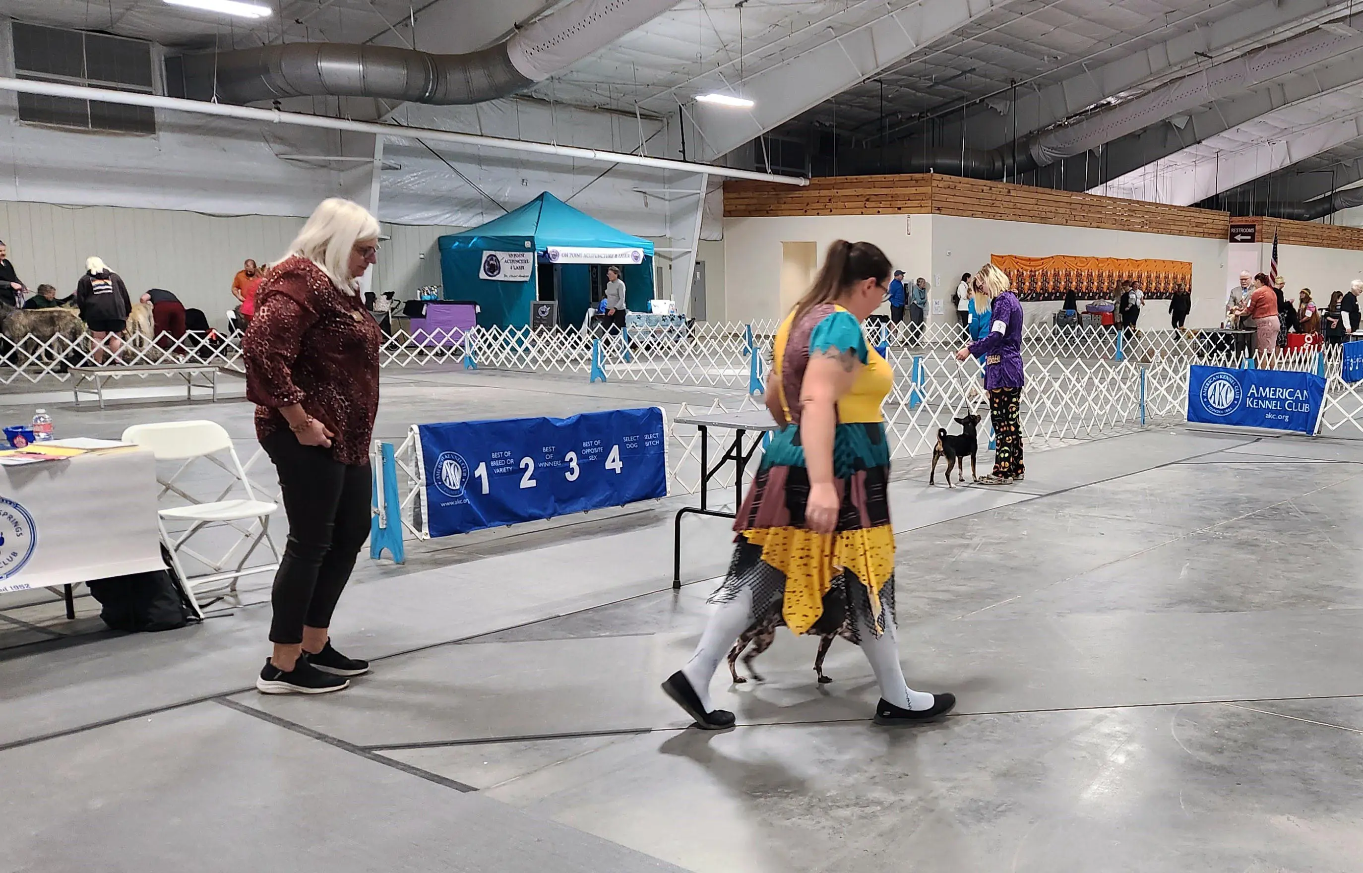 2025 Annual Show