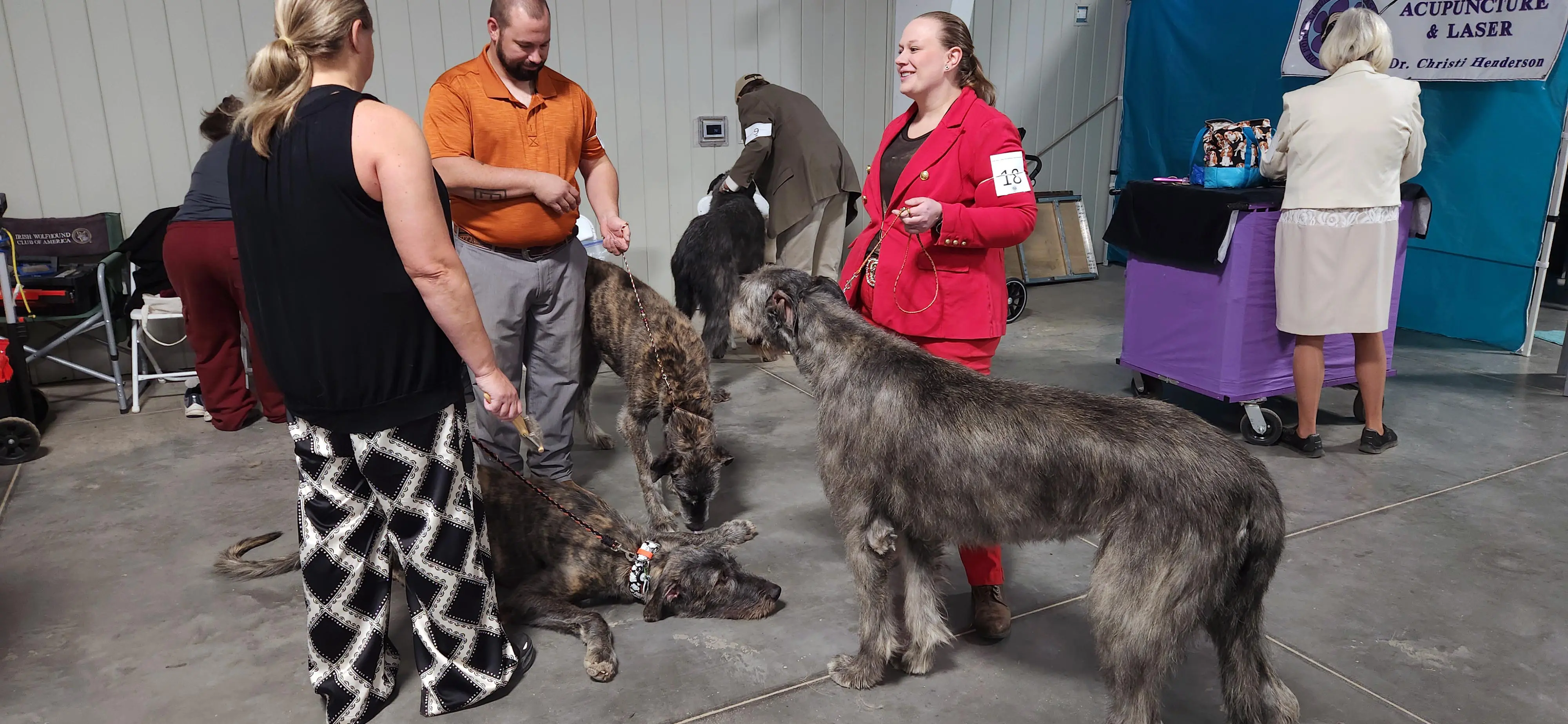 2025 Annual Show