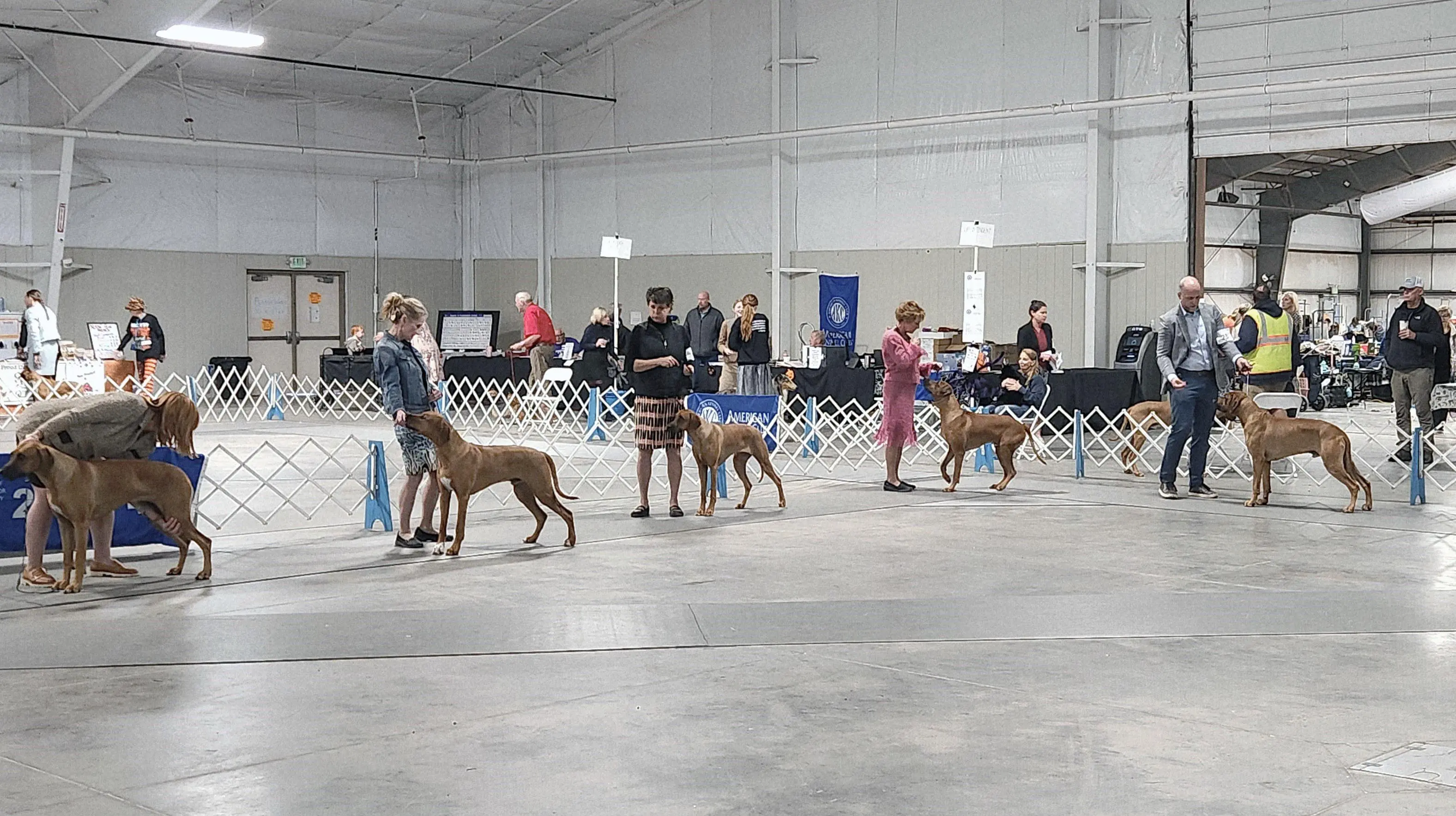 2025 Annual Show