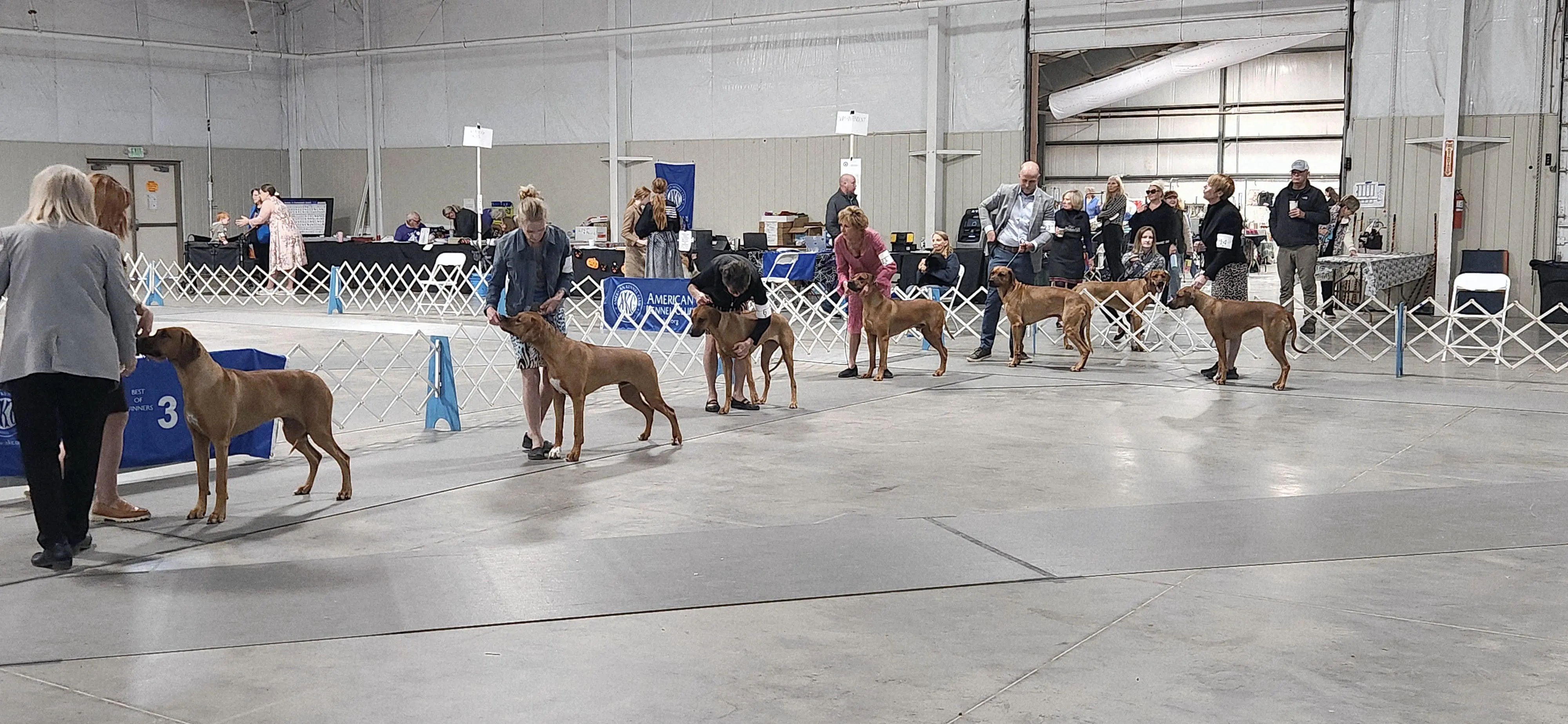 2025 Annual Show