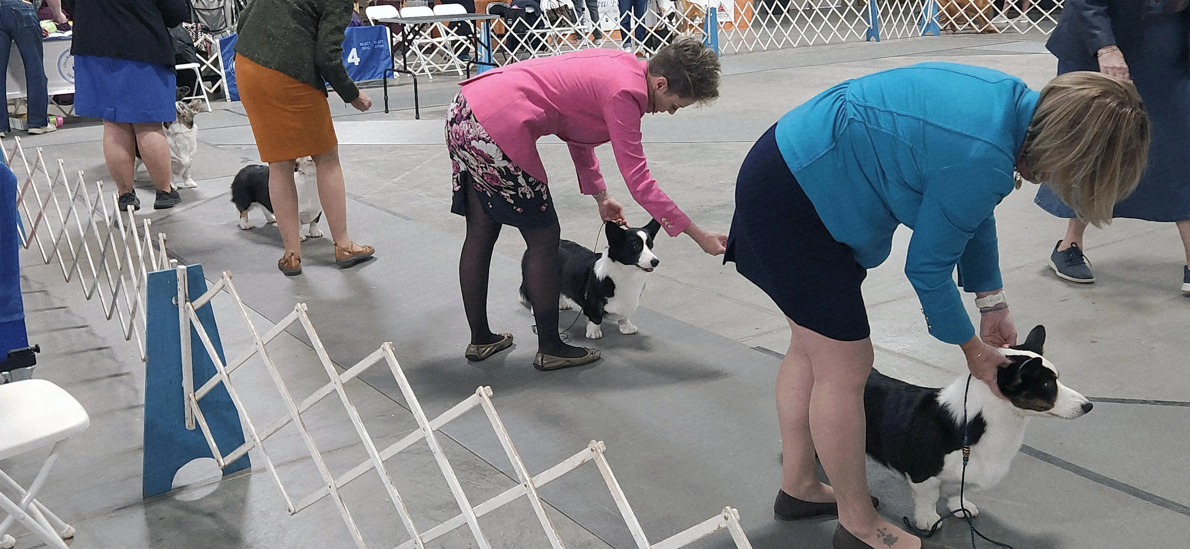 2025 Annual Show