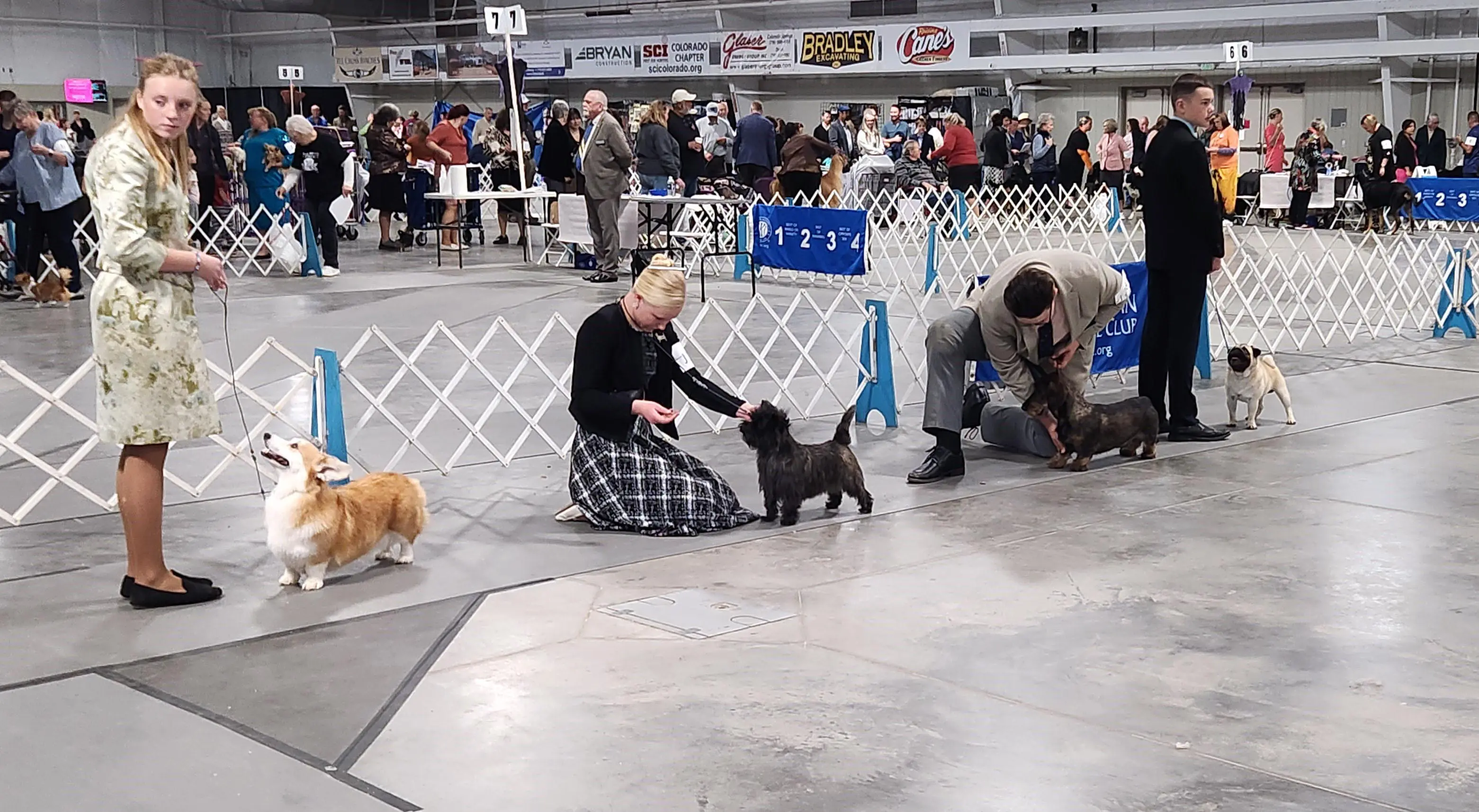 2025 Annual Show