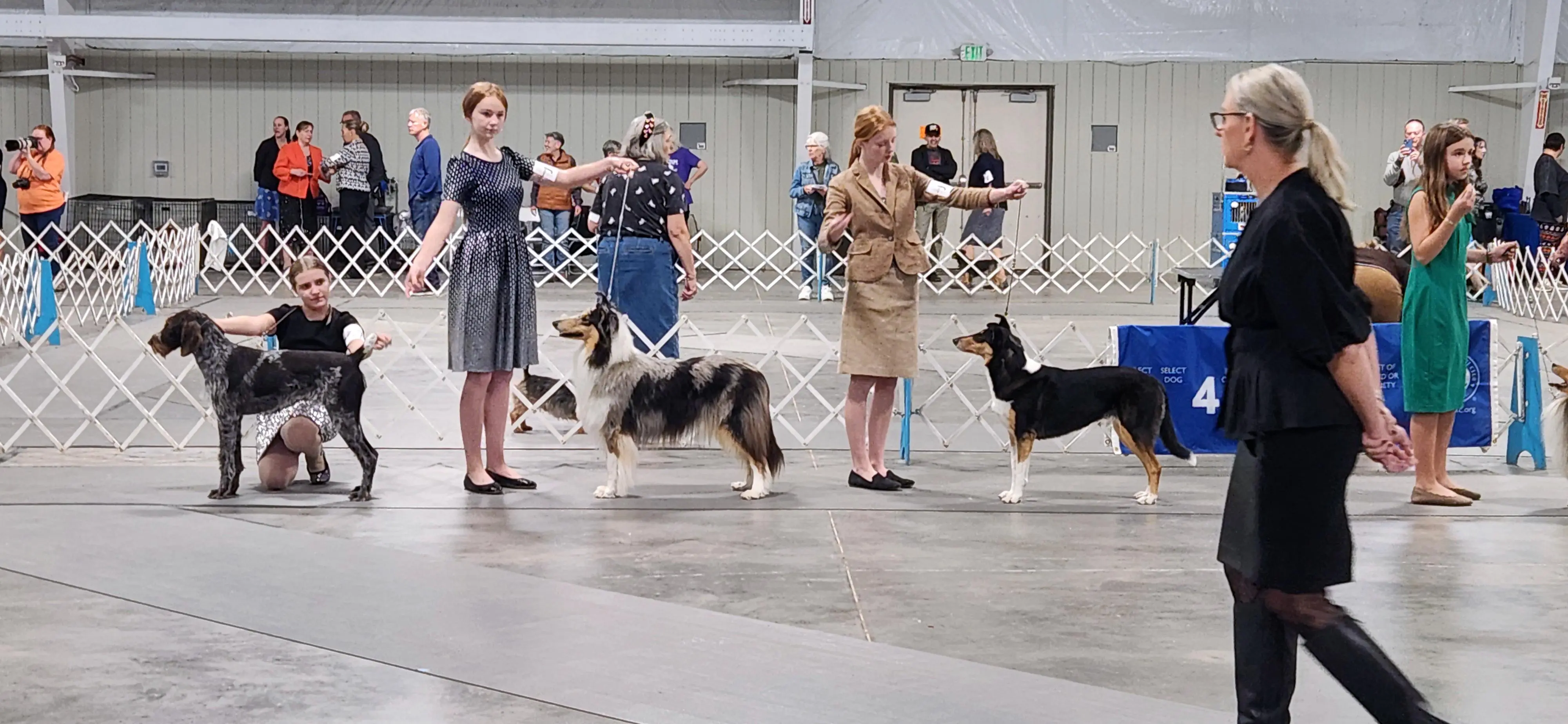 2025 Annual Show